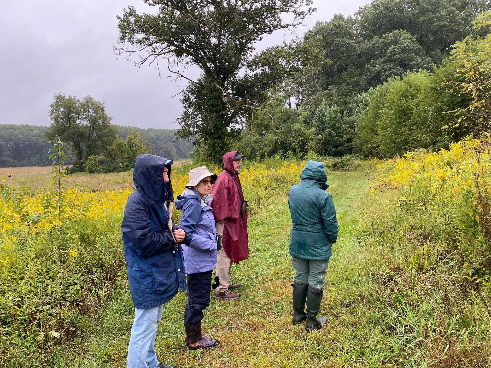 9.22.26 Meadow trail