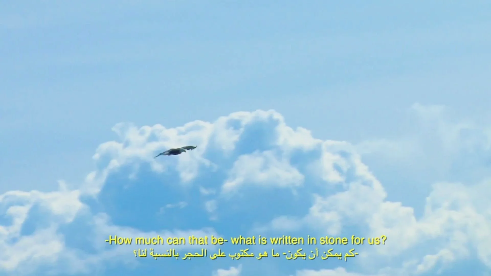 Copy of mosaic screenshot 20.jpg