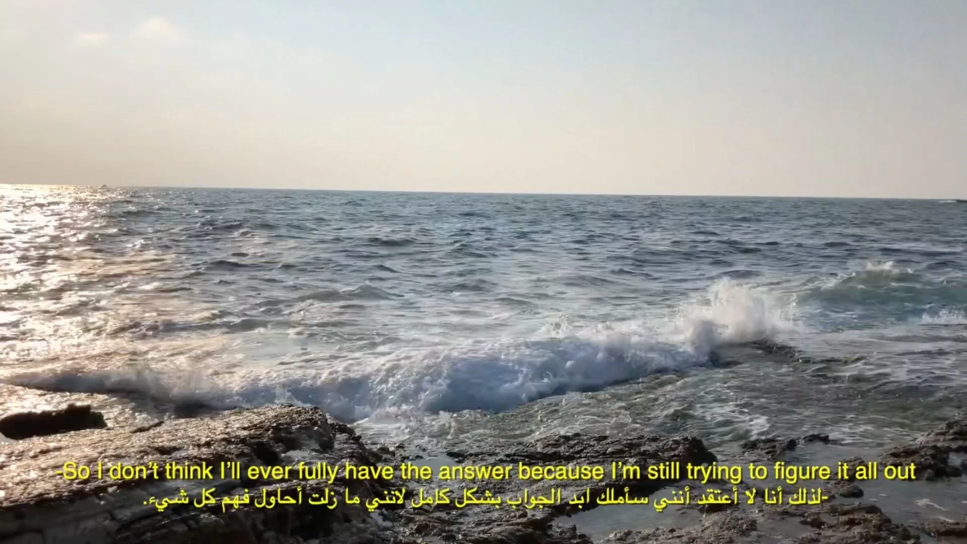 Copy of mosaic screenshot 27.jpg