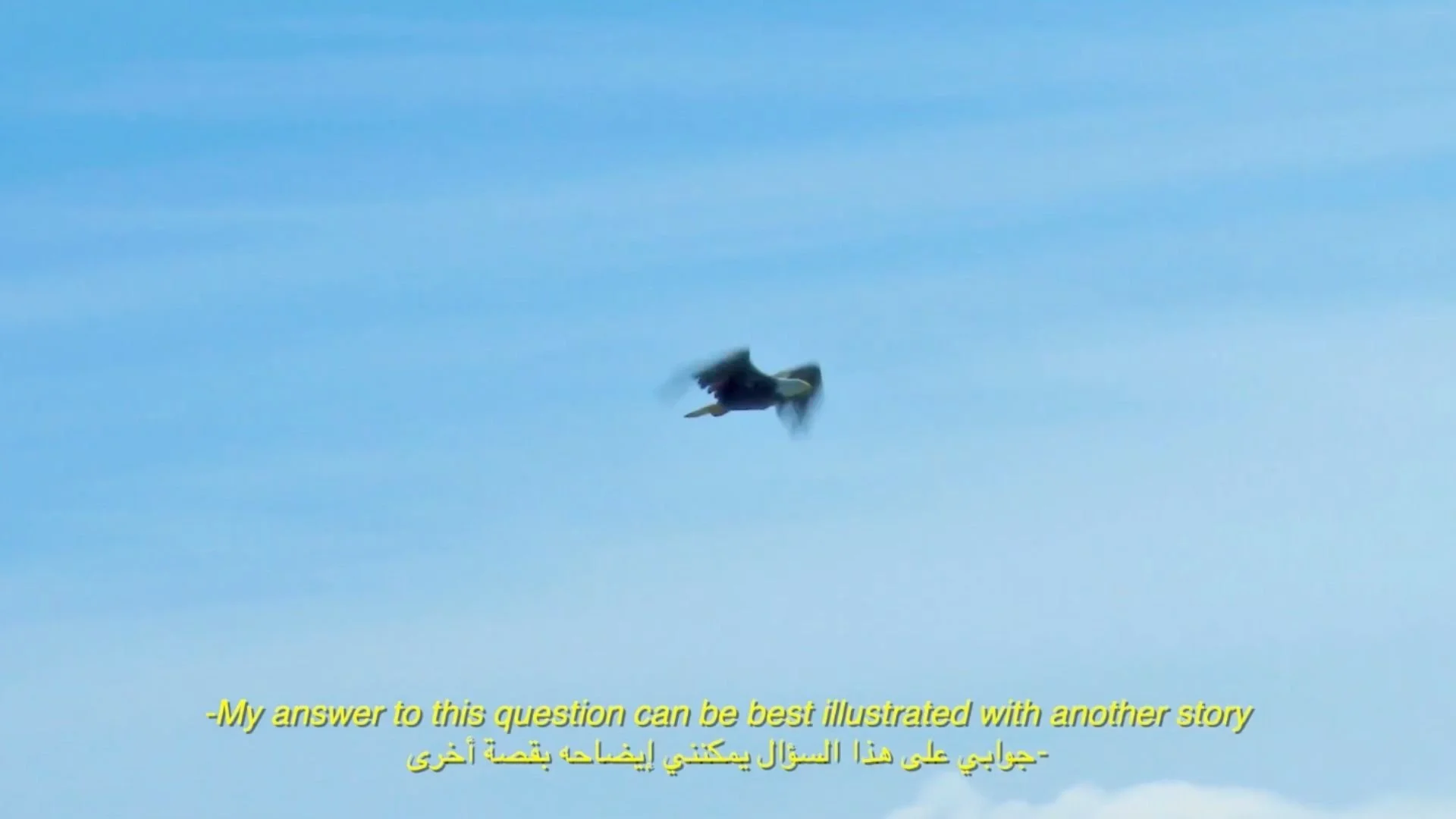 Copy of mosaic screenshot 7.jpg