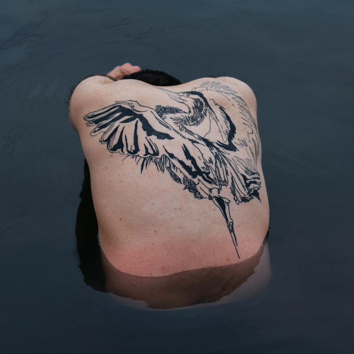 Jodi | Blue Heron