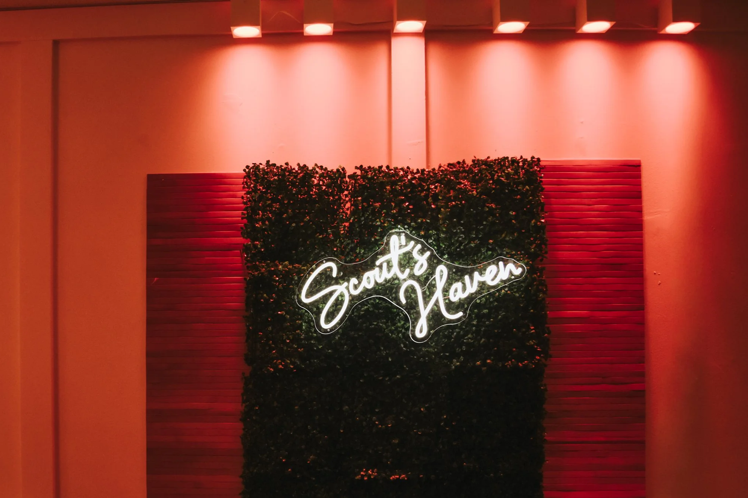 Opening January 2026