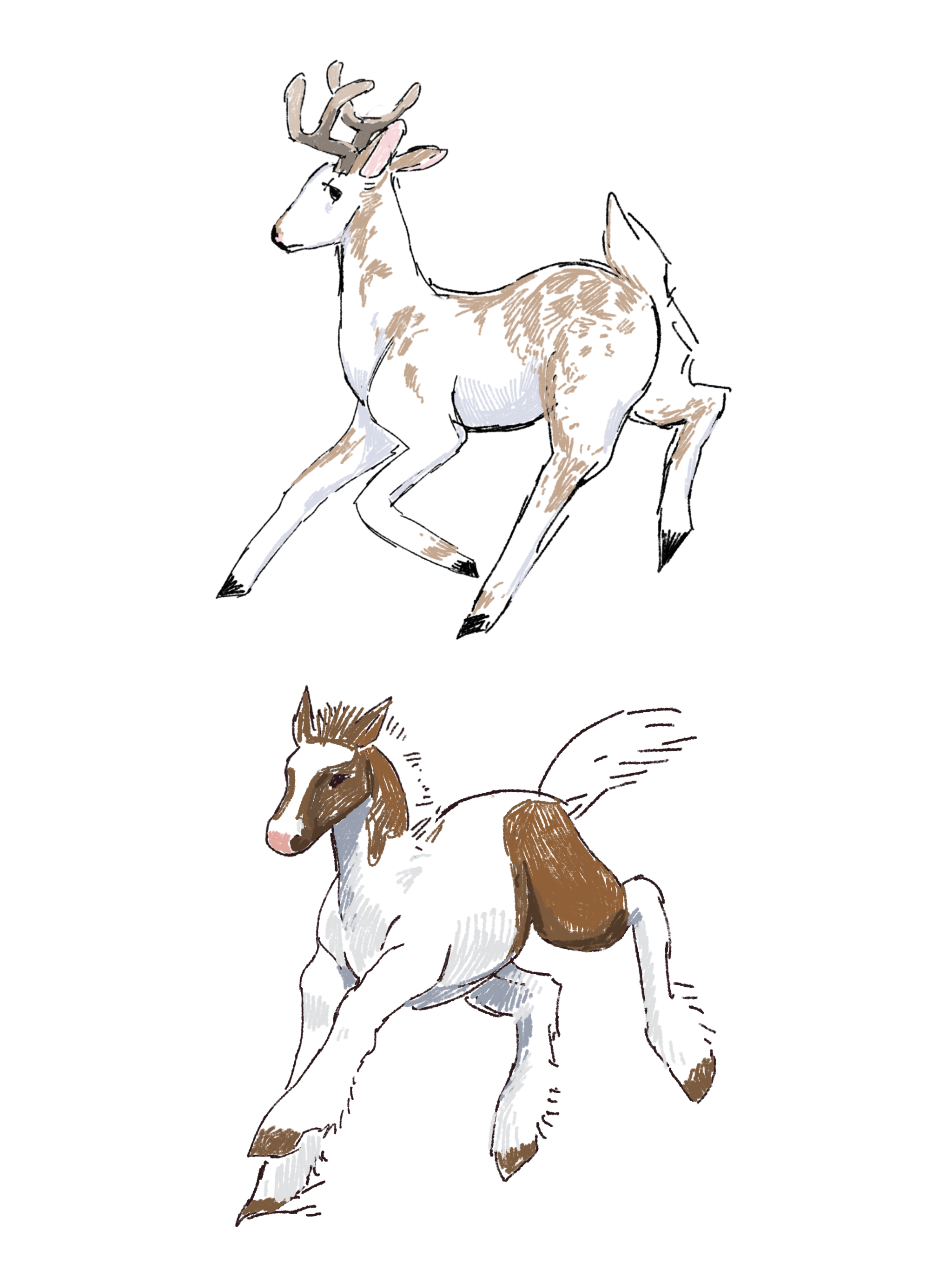 deerhorse.png