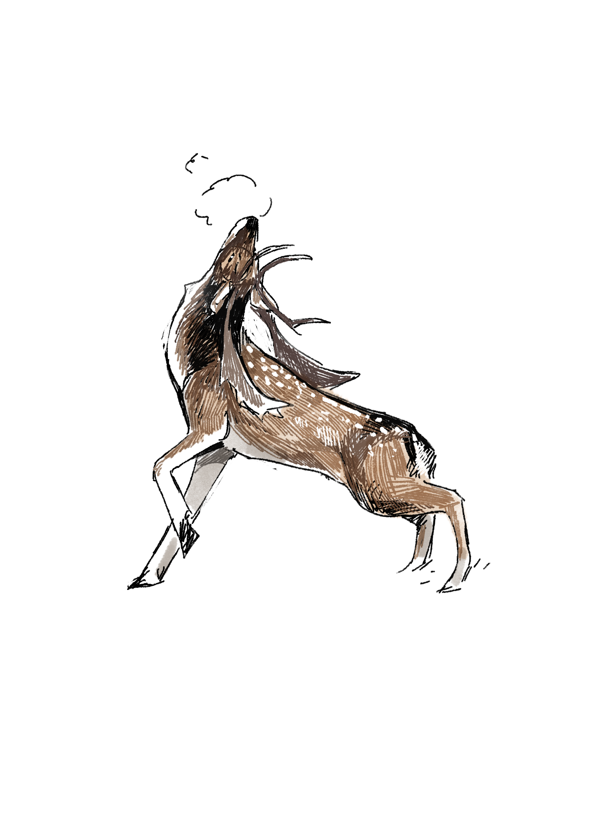 Elk.png