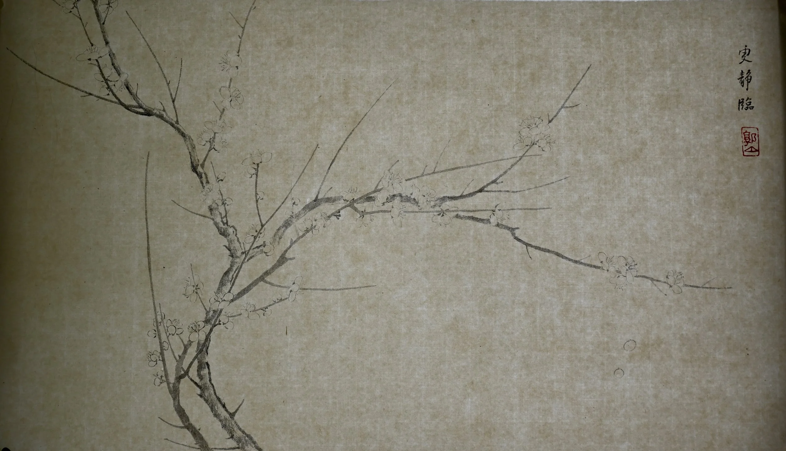 四梅图卷, 杨无咎临摹 Yang Wujiu Study
(Charcoal Ink on Qingtan Paper, 69cm x 37cm)