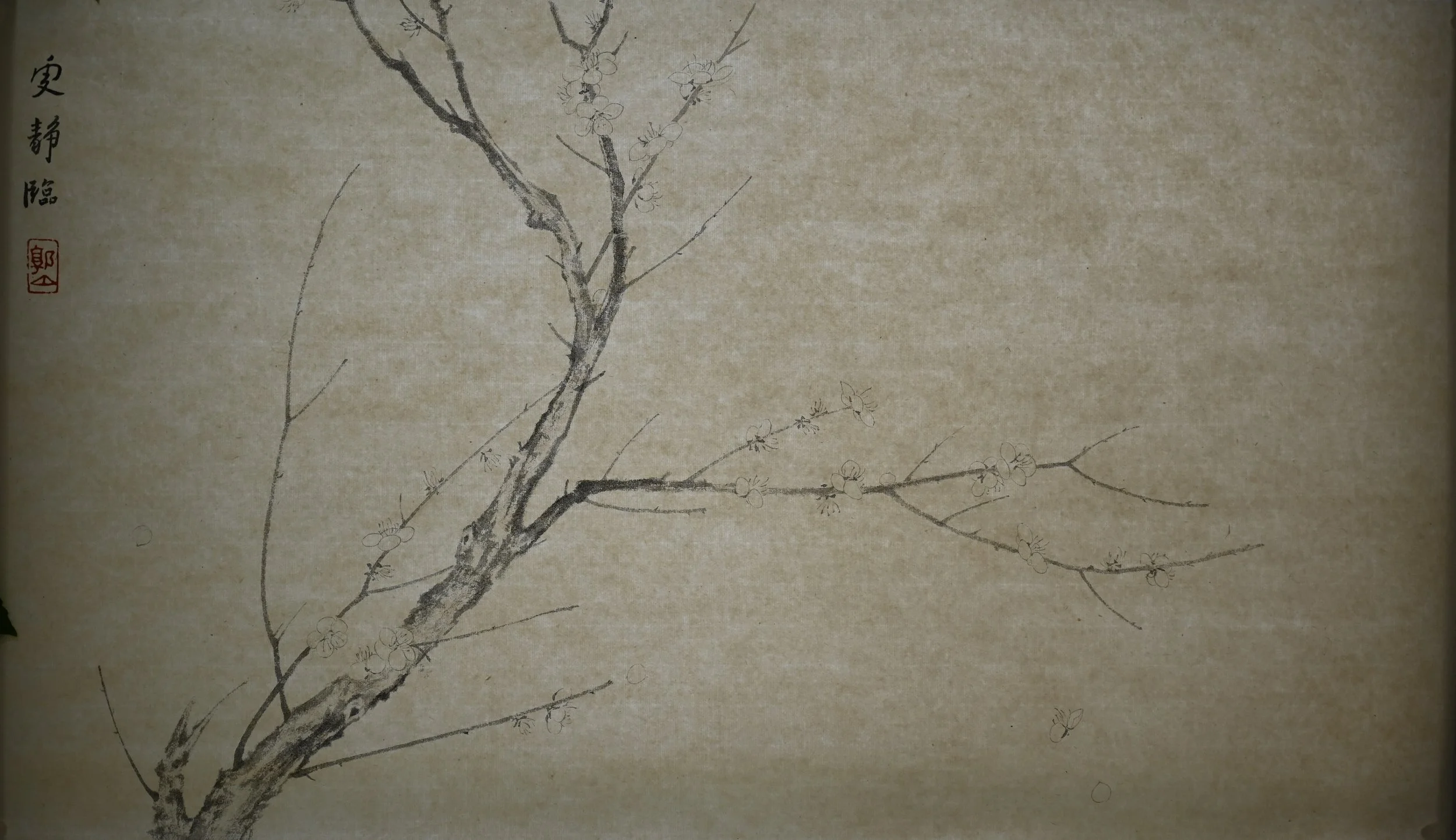 四梅图卷, 杨无咎临摹 Yang Wujiu Study
(Charcoal Ink on Qingtan Paper, 69cm x 37cm)