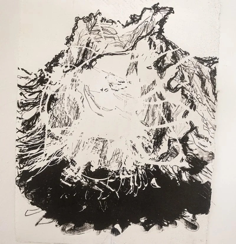 Tree root