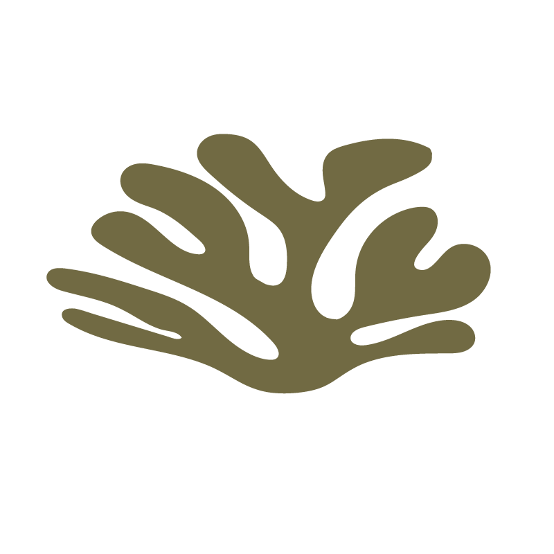 A stylized, minimalist illustration of a coral reef in a dark, muted color.