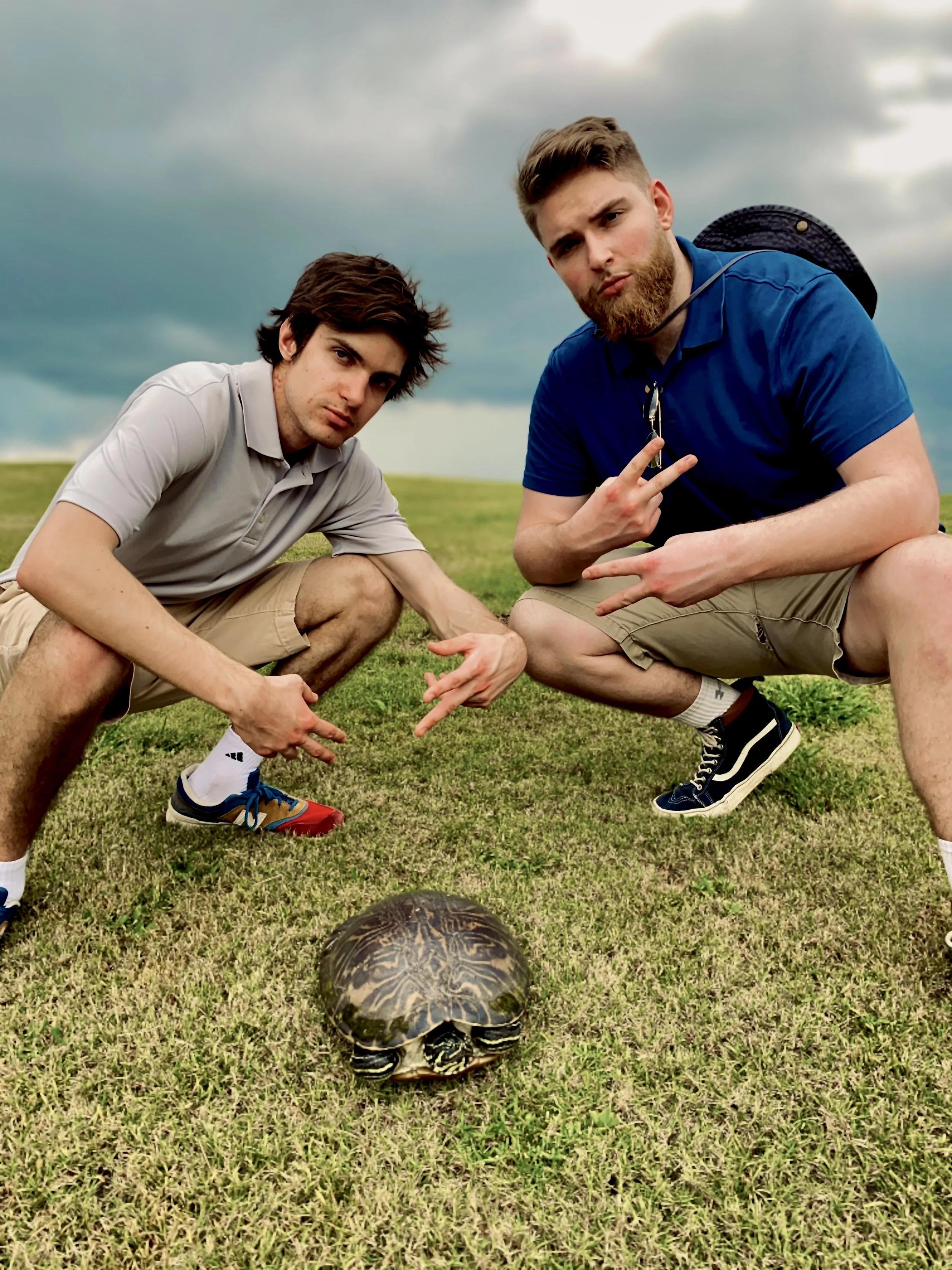 3:13:23-Turtle.jpeg