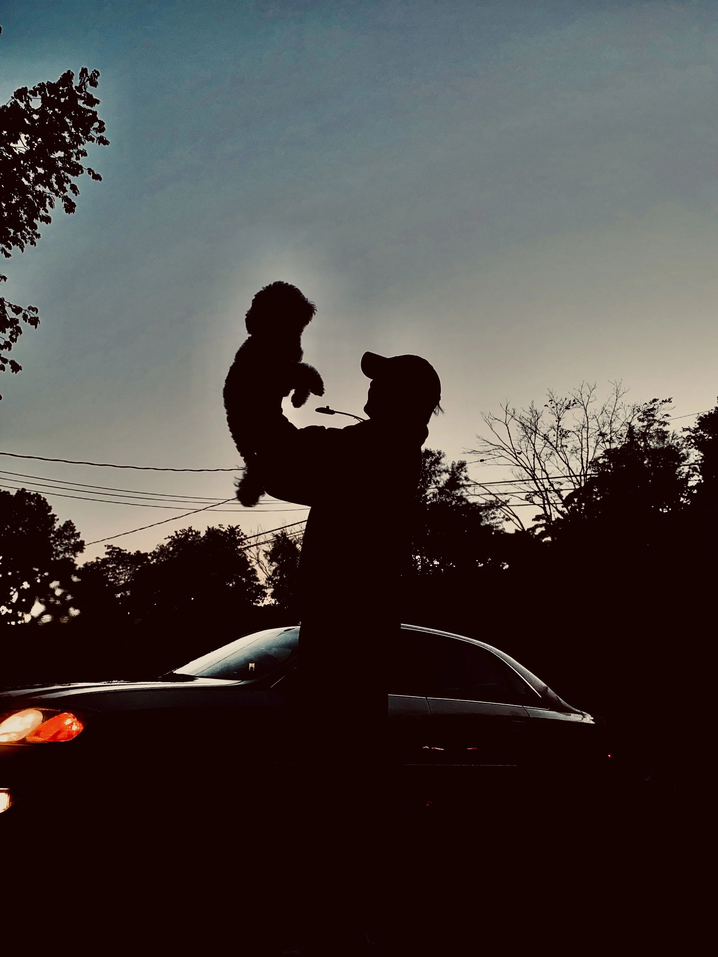 The Lion King