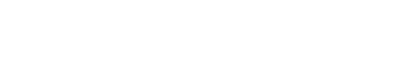 Wonder Logo