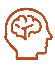 Outline of a human head with a brain inside, depicted in red.