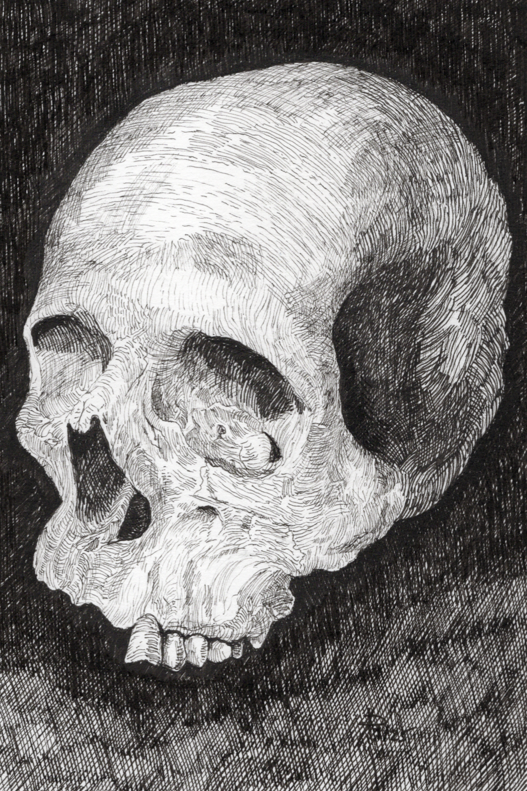 A black and white drawing of a human skull.