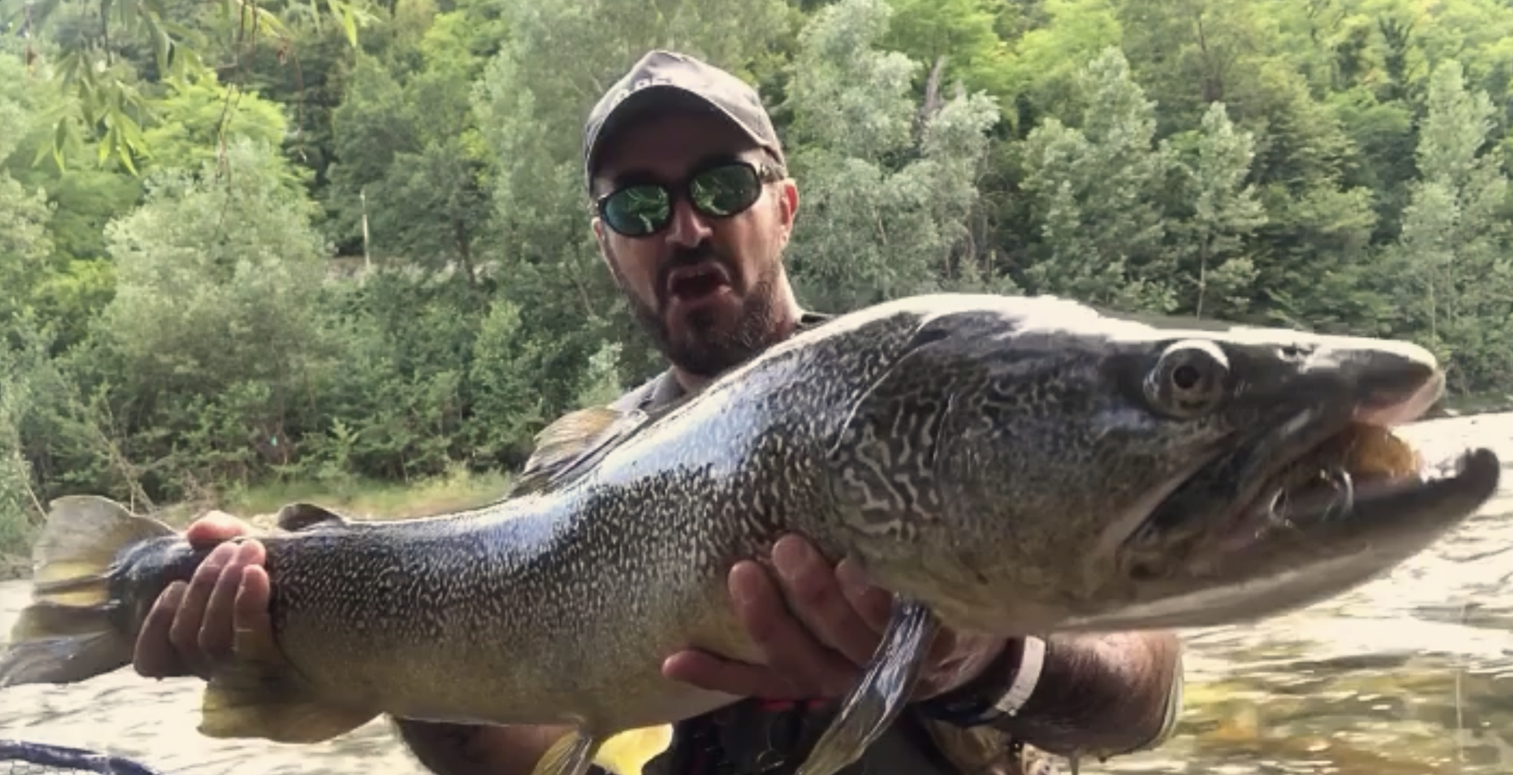 Streamer Fishing for Giant Marble Trout – A Modern Approach to an Ancient Predator