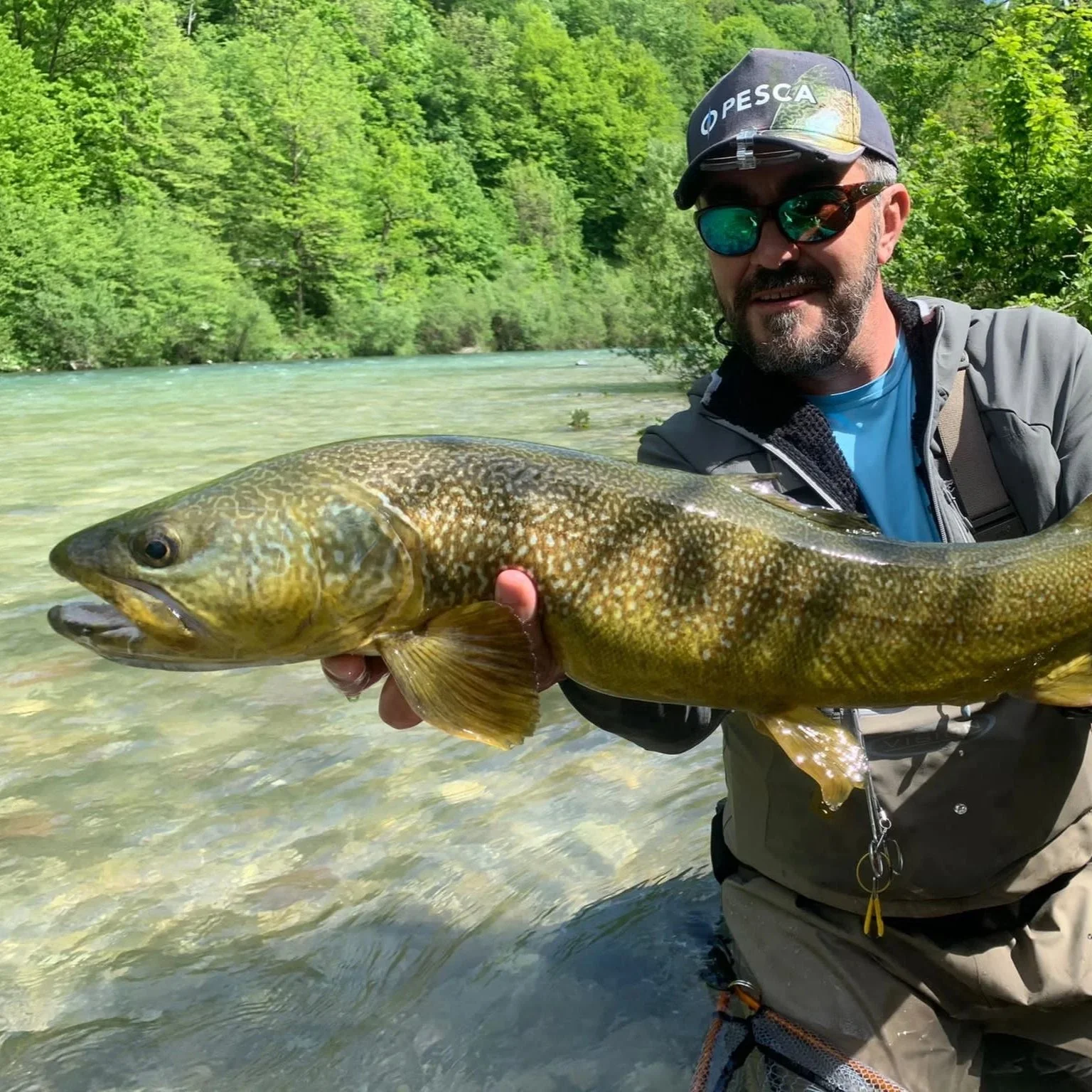 Man wearing sunglasses and a cap holding a large fish in a river with lush green trees in the background.