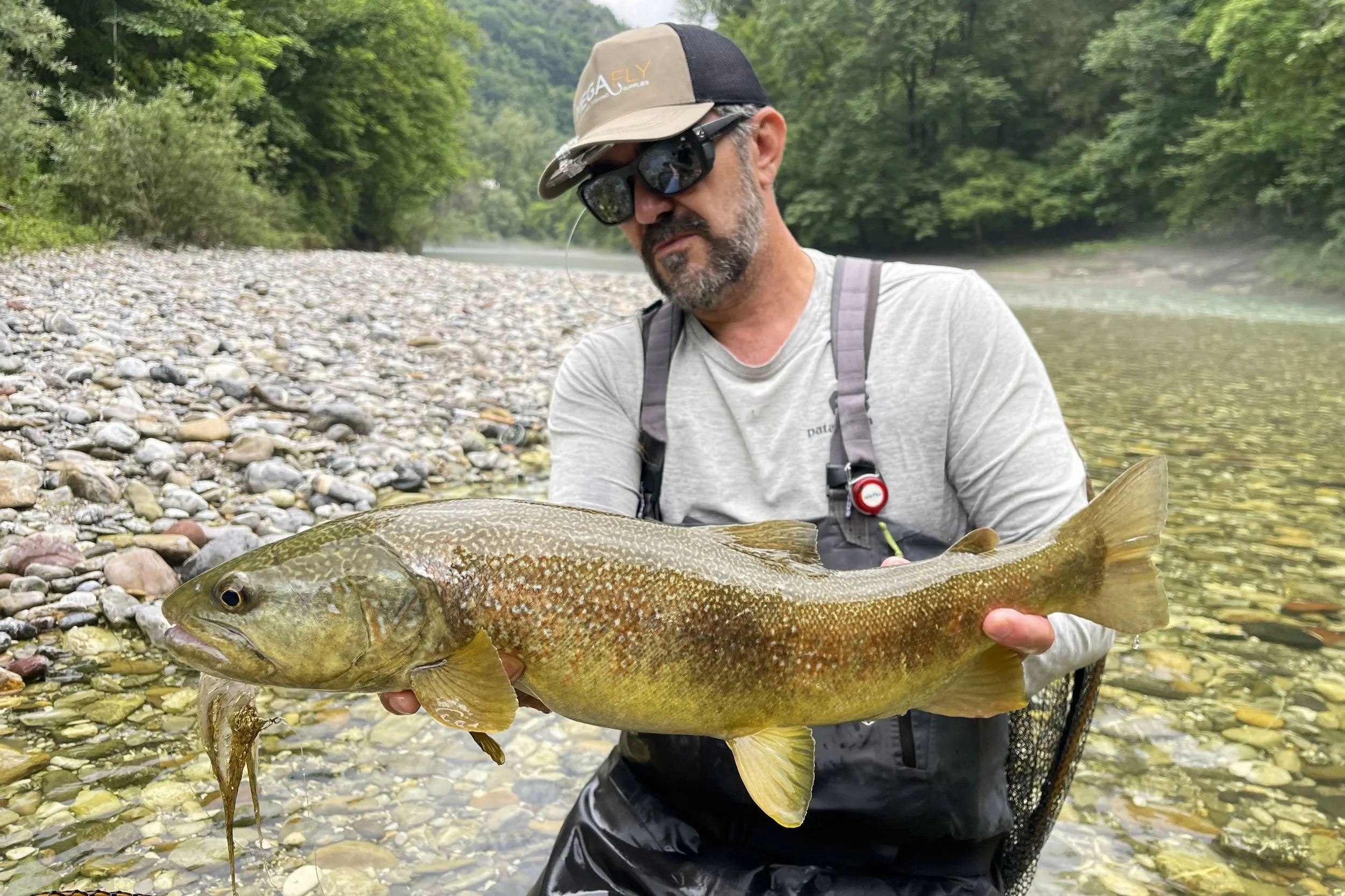 A man wearing a cap, sunglasses, and fishing gear holds a large fish with a yellowish-brown body and small spots, standing in a shallow river with rocks and green trees in the background.