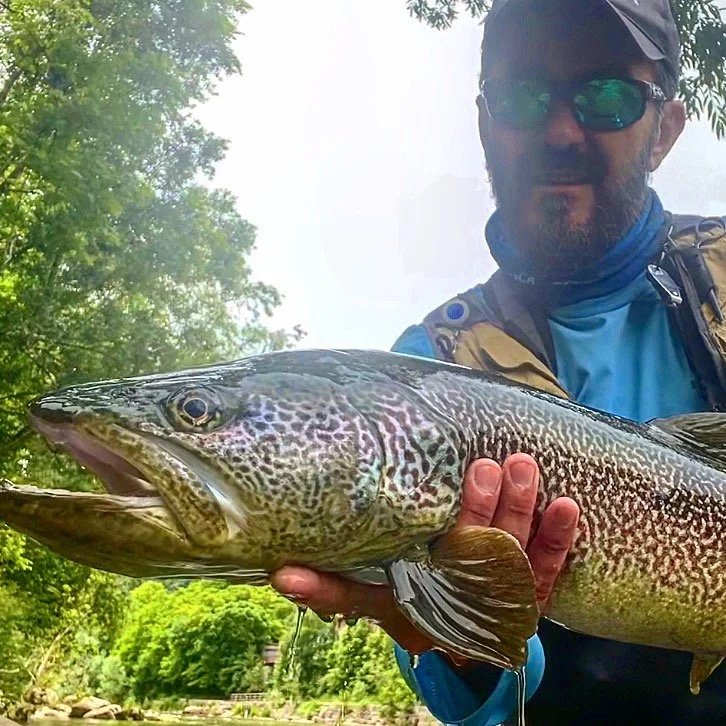 Fishing gear including an orange tackle box, a gray and black cap with a logo that says 'MEGAFLY' and 'PROFESSIONAL FISHING SUPPLIES,' and three yellow fishing lures hanging from the log, set outdoors near a river with greenery.