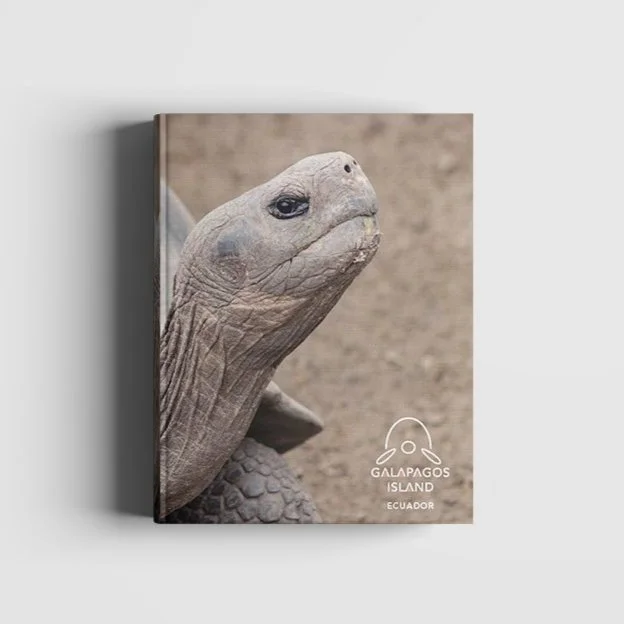 Book_cover.jpg