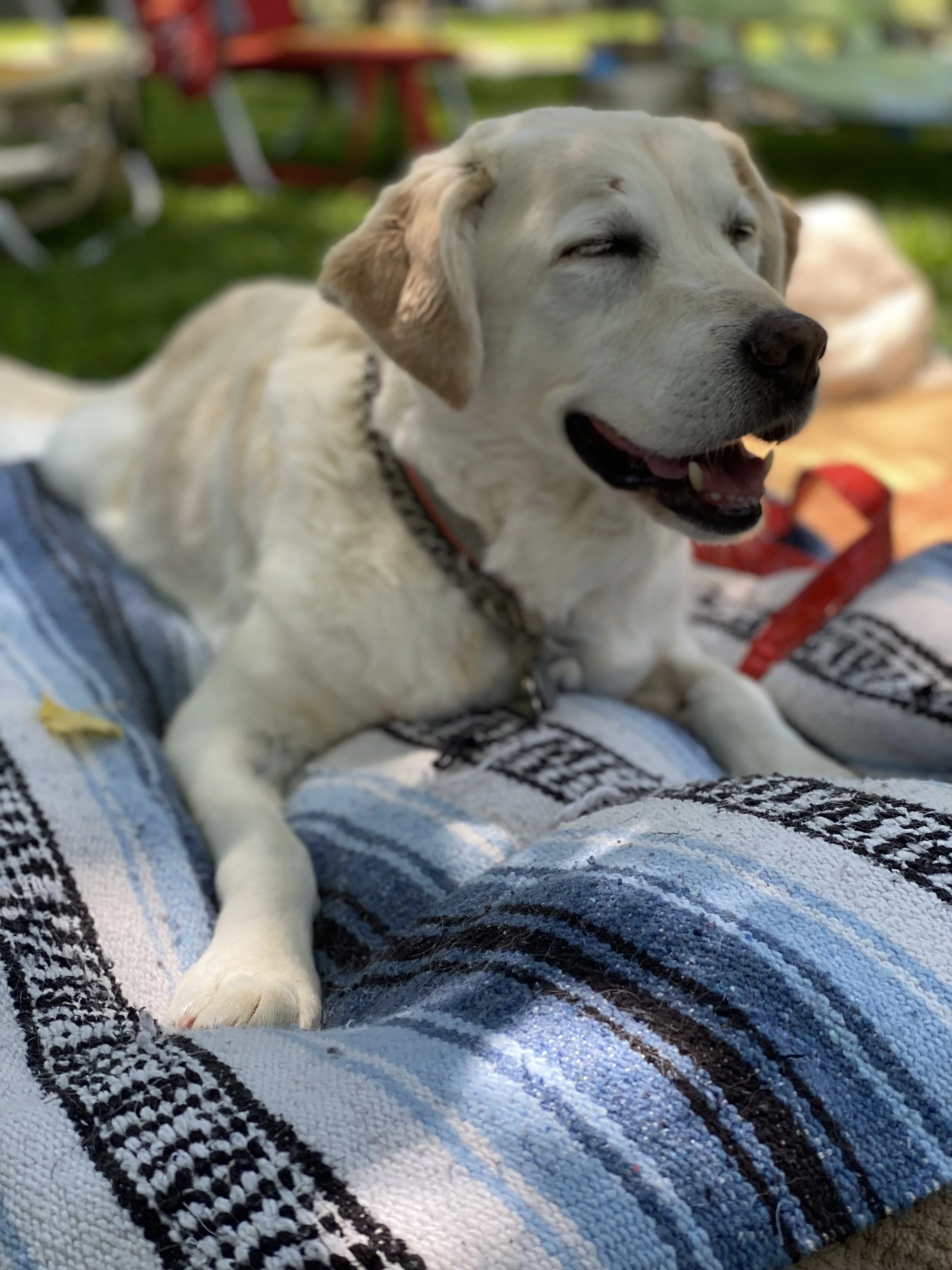 Summer Nostalgia & Remembrance