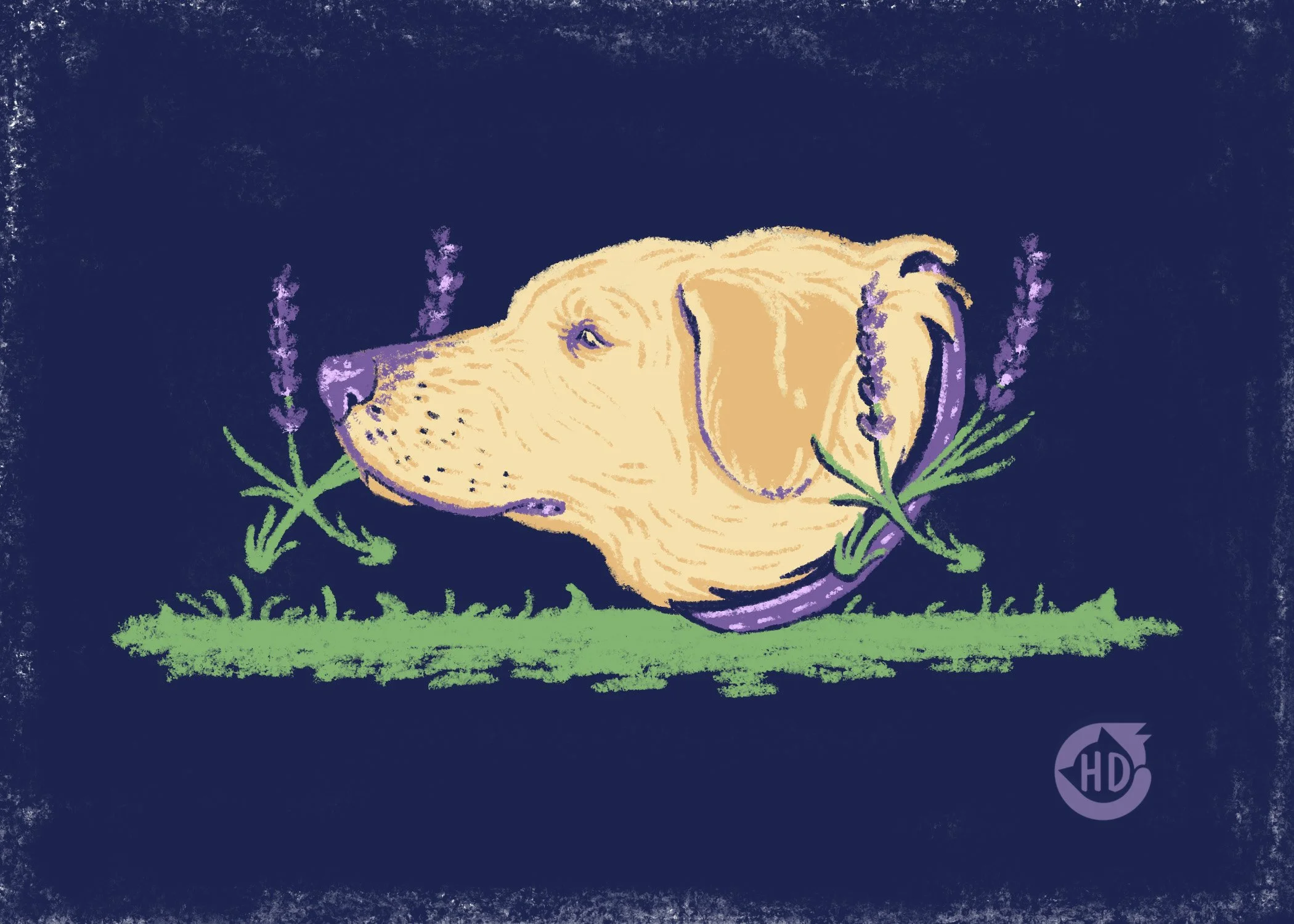 Labrador & Lavender - Digital