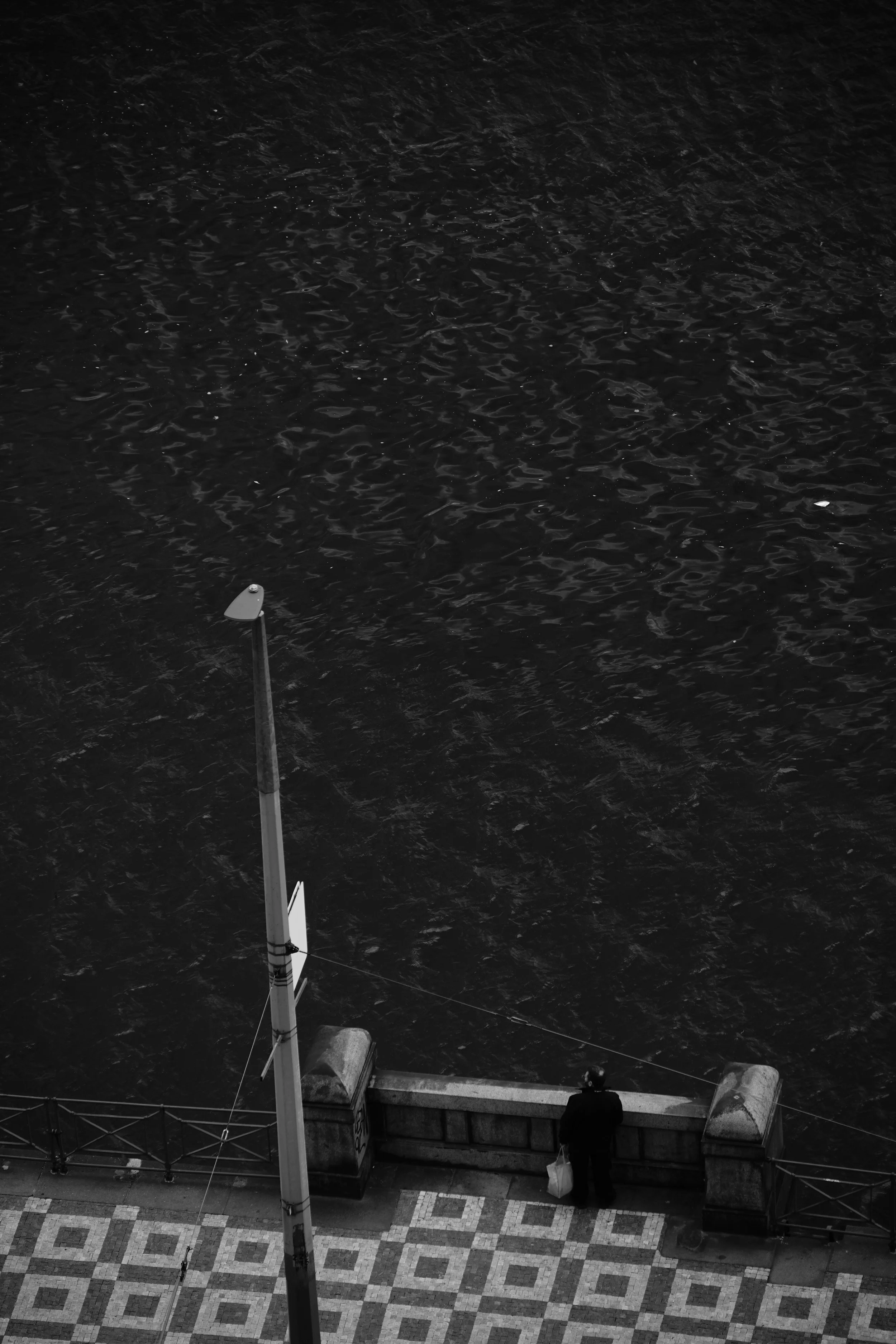 A person standing on a waterfront promenade, looking out over the water, carrying a shopping bag, with a street lamp and patterned pavement in view.