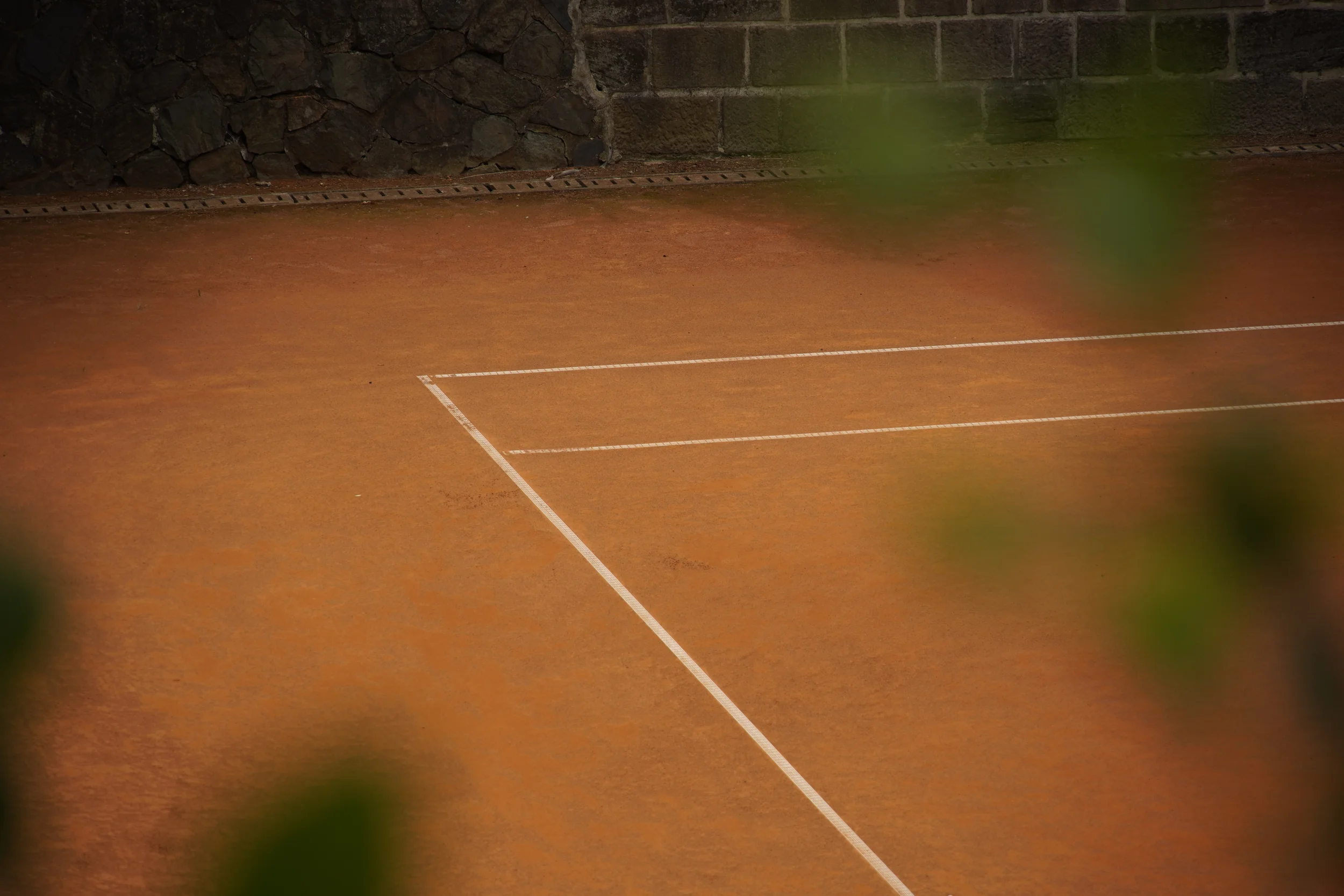 Empty clay tennis court with white boundary lines, partially obscured by foliage in the foreground.