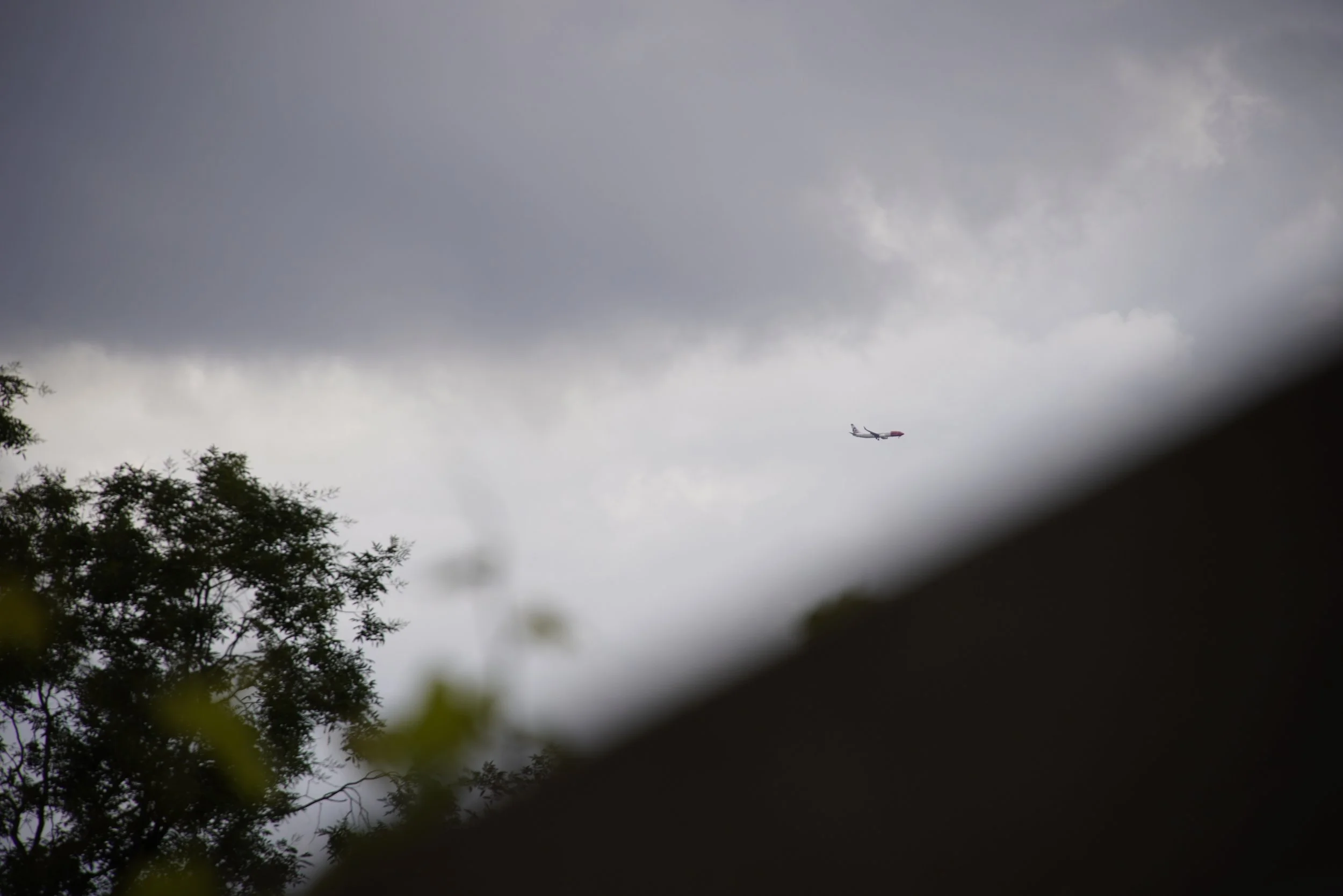 A commercial airplane flying in cloudy overcast sky, partially obscured by dark objects and tree branches in the foreground.