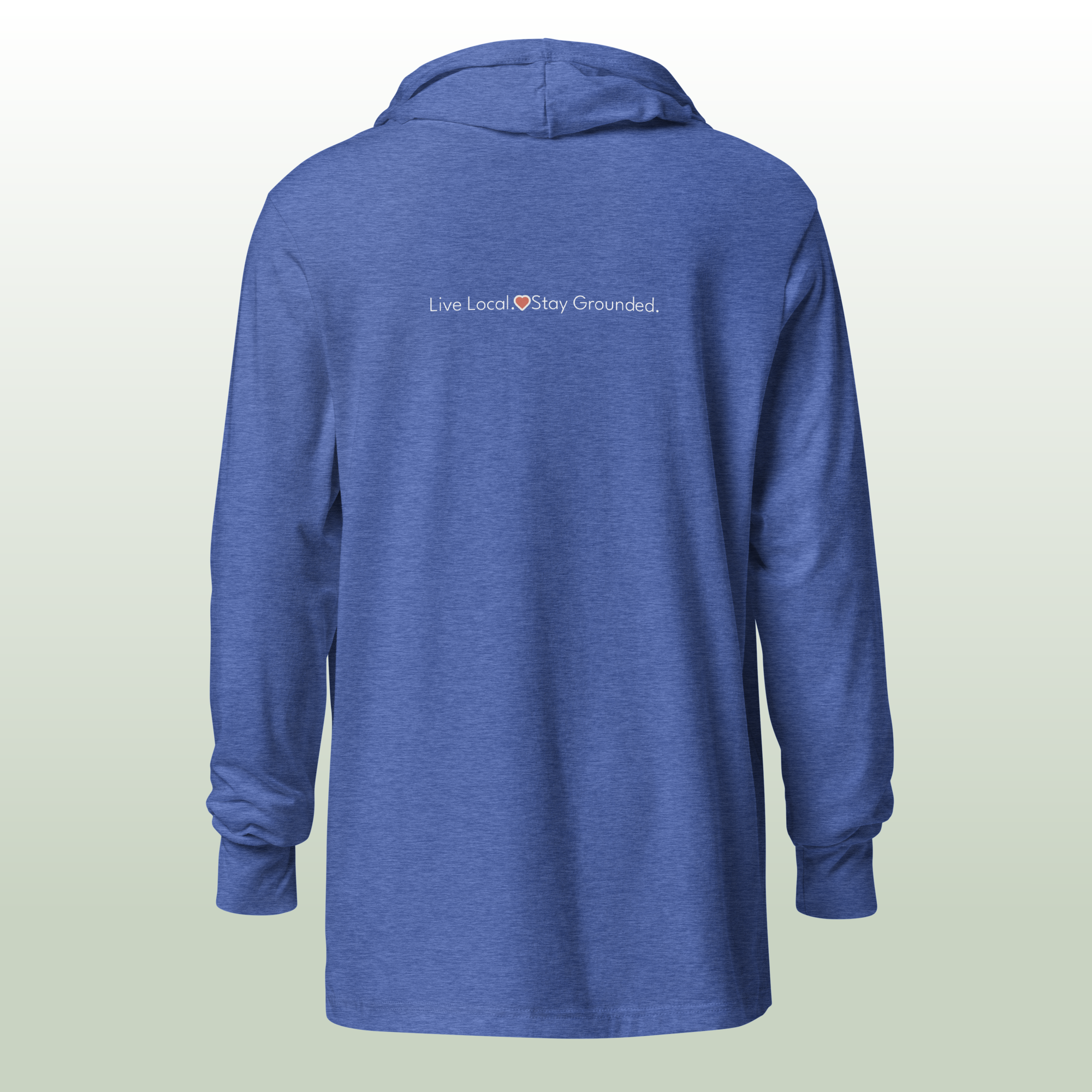 Unisex Hooded Long Sleeve Tee_back royal blue.png