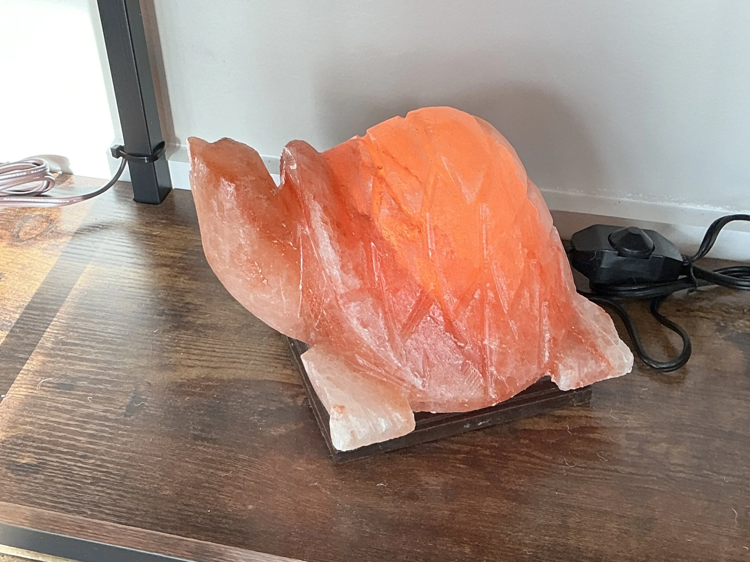 Pink Turtle Lamp (9-10 lb) 6" with Wood Base