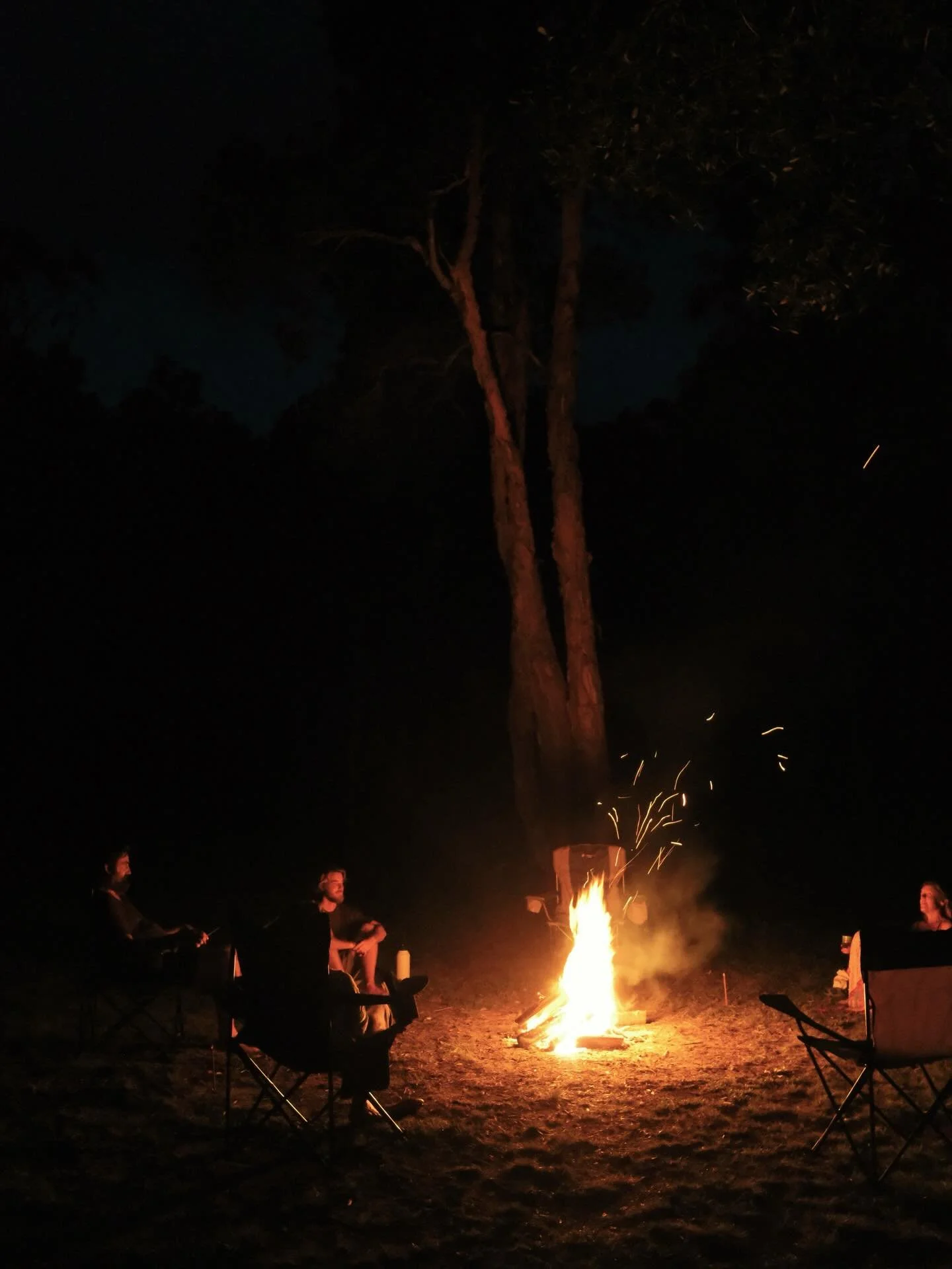 Was pretty special having this little fella sitting above the fire with us for 3 days during our last retreat @moonies_crescenthead 📷 @omkara.jpg