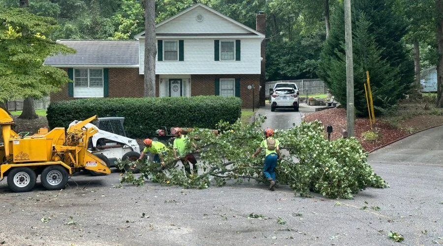 crew-removes-tree-debris-after-a-storm-in-wake-county-north-carolina.jpg