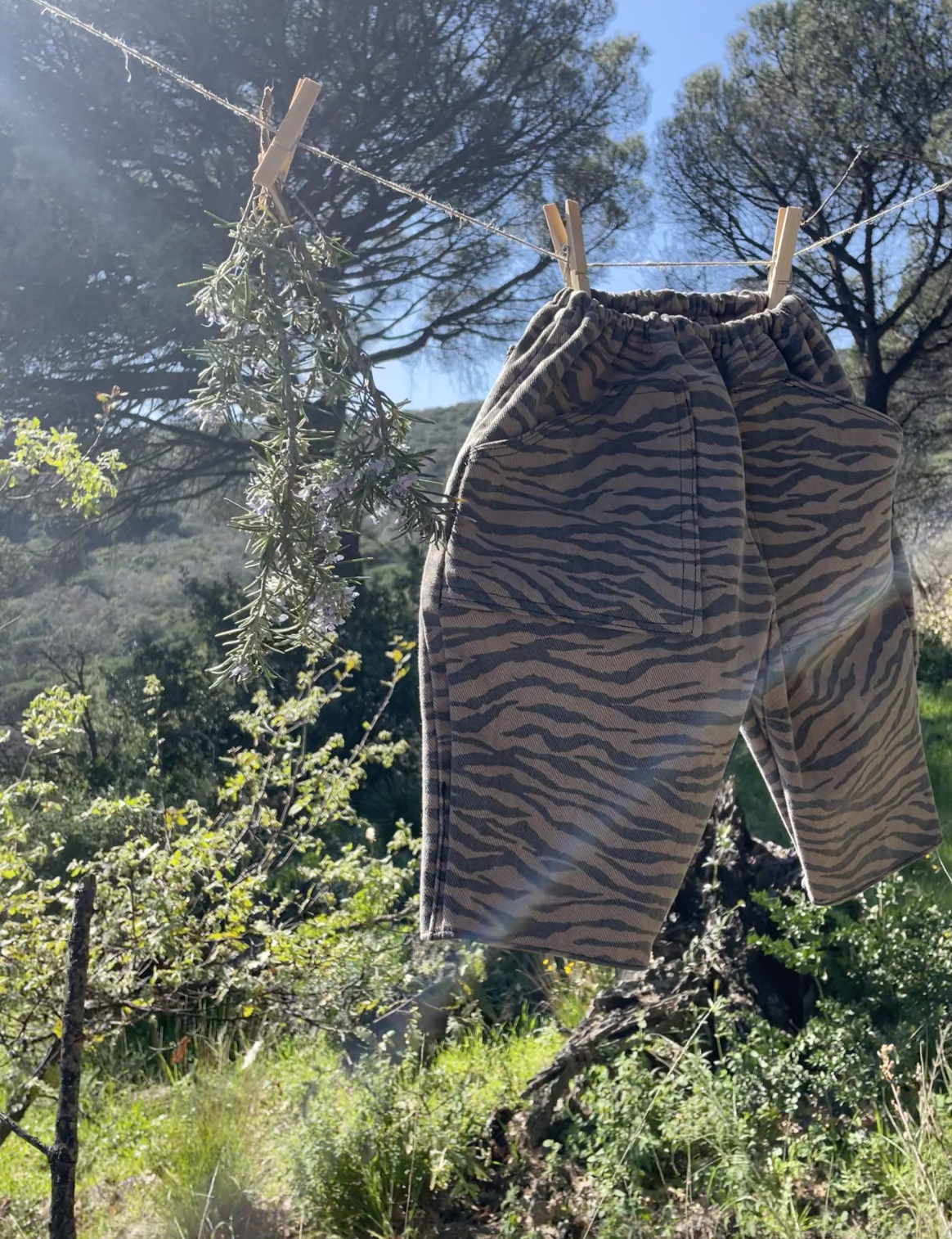 Capture d’écran 2026-03-13 à 17.33.31.png