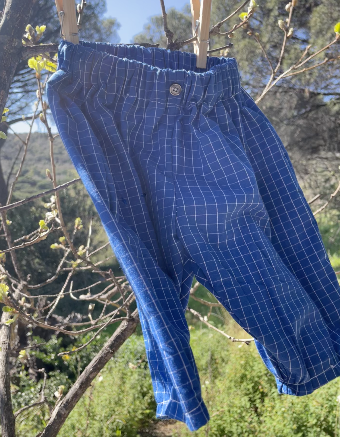 Capture d’écran 2026-03-13 à 17.55.45.png