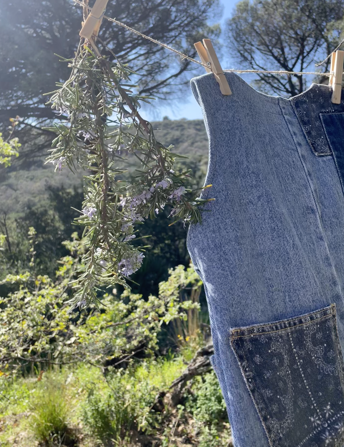 Capture d’écran 2026-03-13 à 18.05.23.png