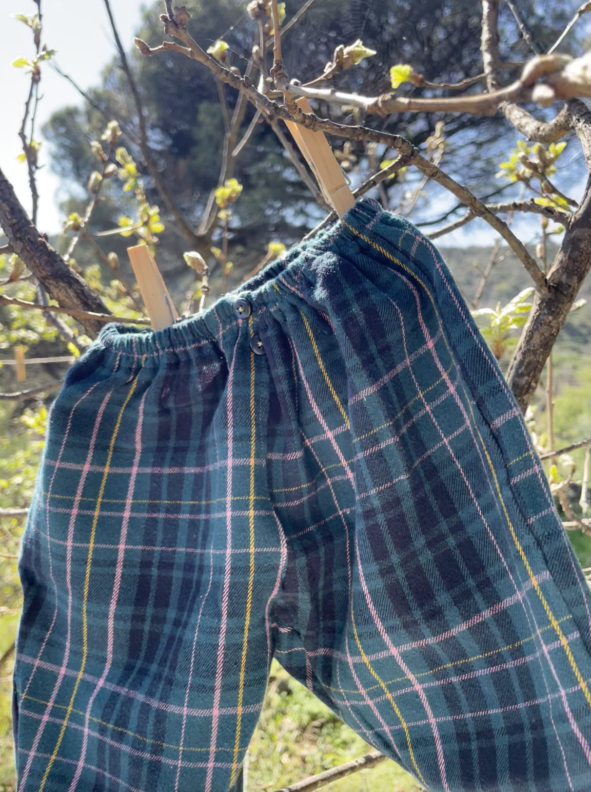 Capture d’écran 2026-03-13 à 17.31.13.png