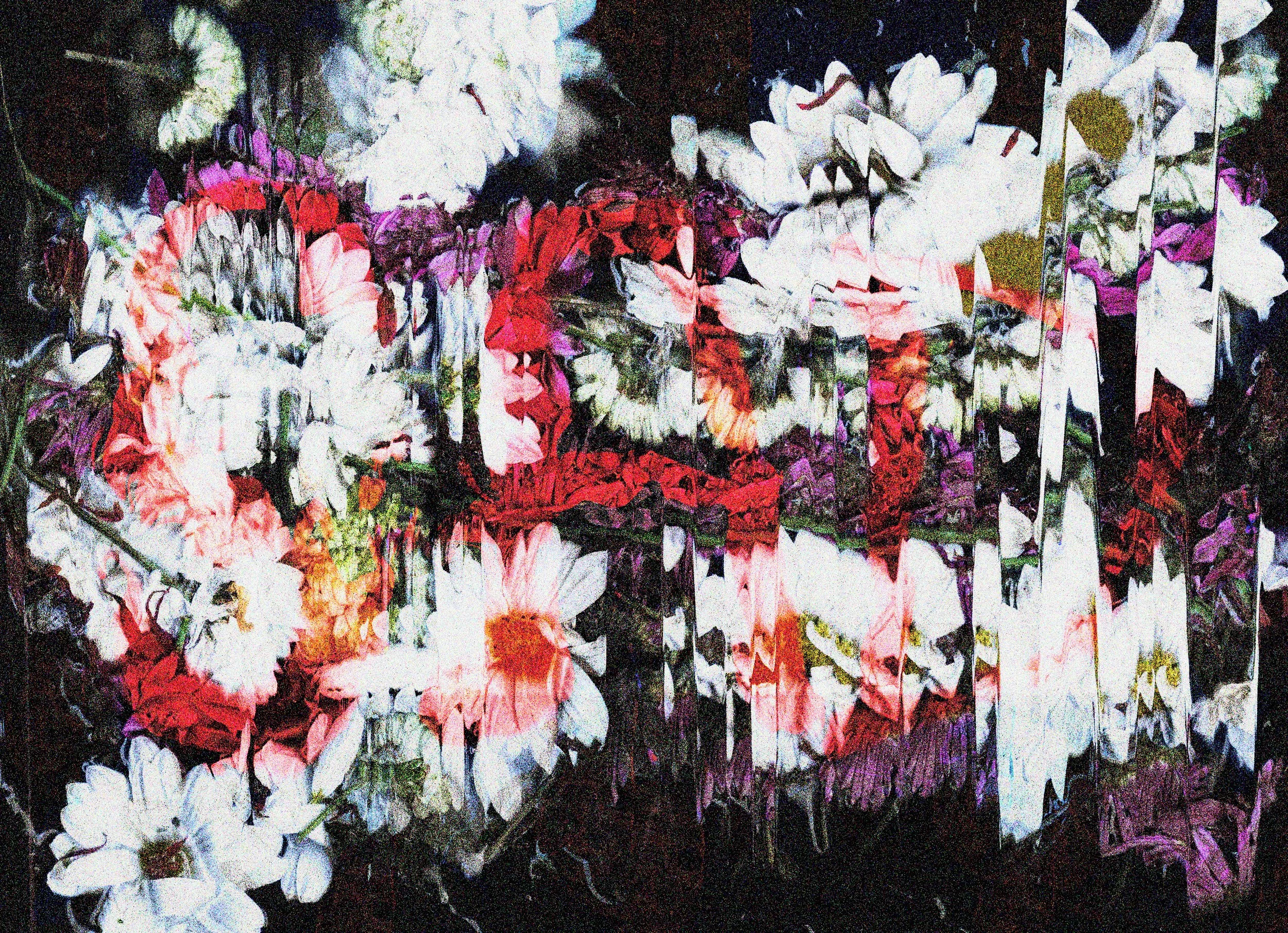 flores e luto