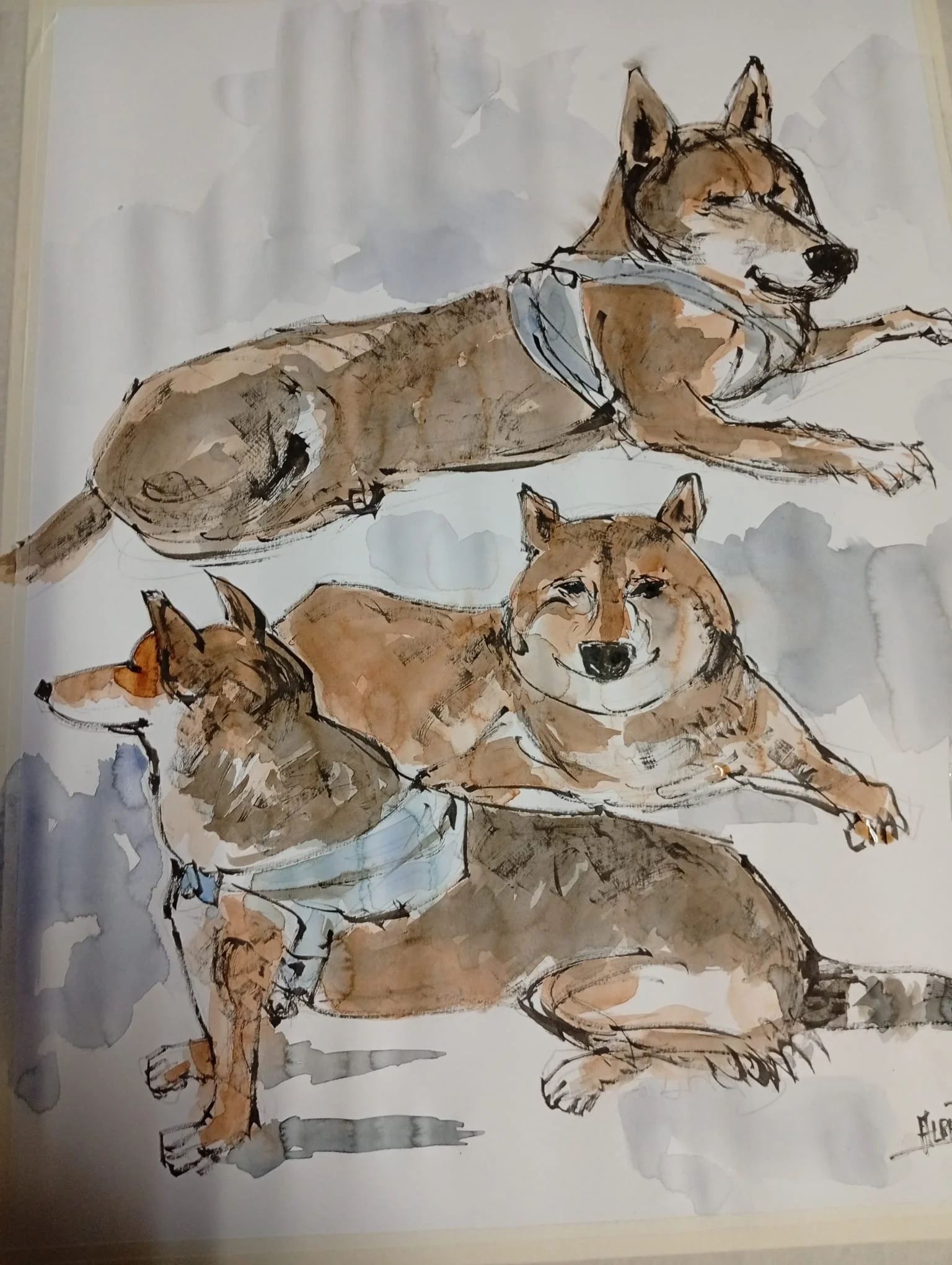 WhatsApp Image 2026-03-06 at 19.15.26.jpeg