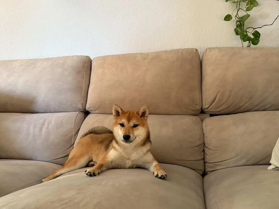 WhatsApp Image 2026-03-06 at 19.18.28.jpeg