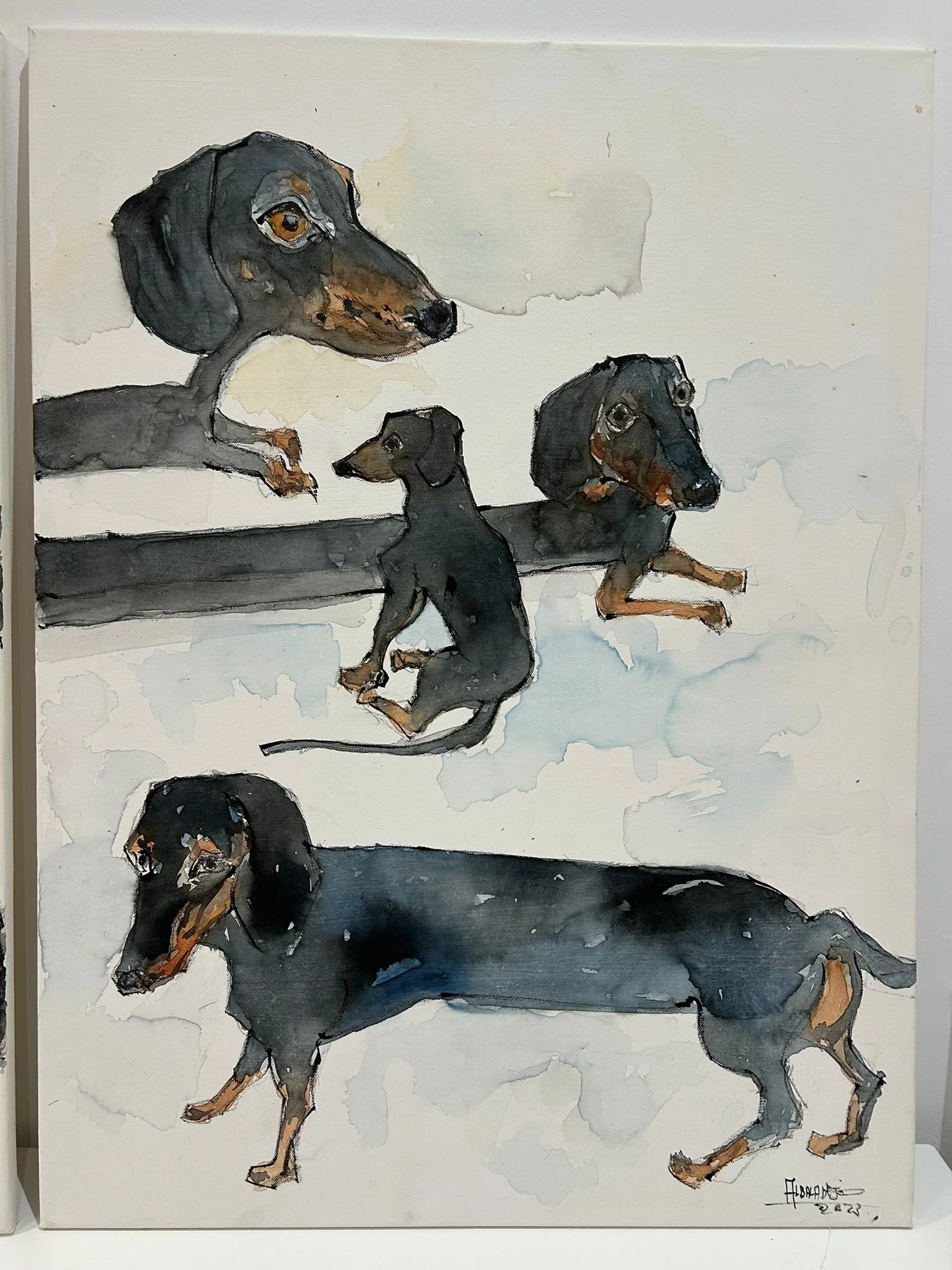 WhatsApp Image 2026-02-20 at 16.10.10.jpeg