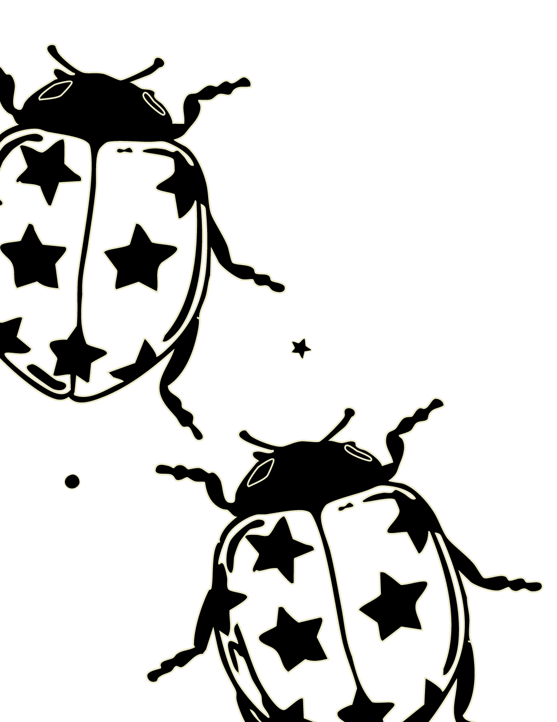 Outline illustration of two beetles with star patterns on their shells, depicted in a continuous line drawing style against a black background.