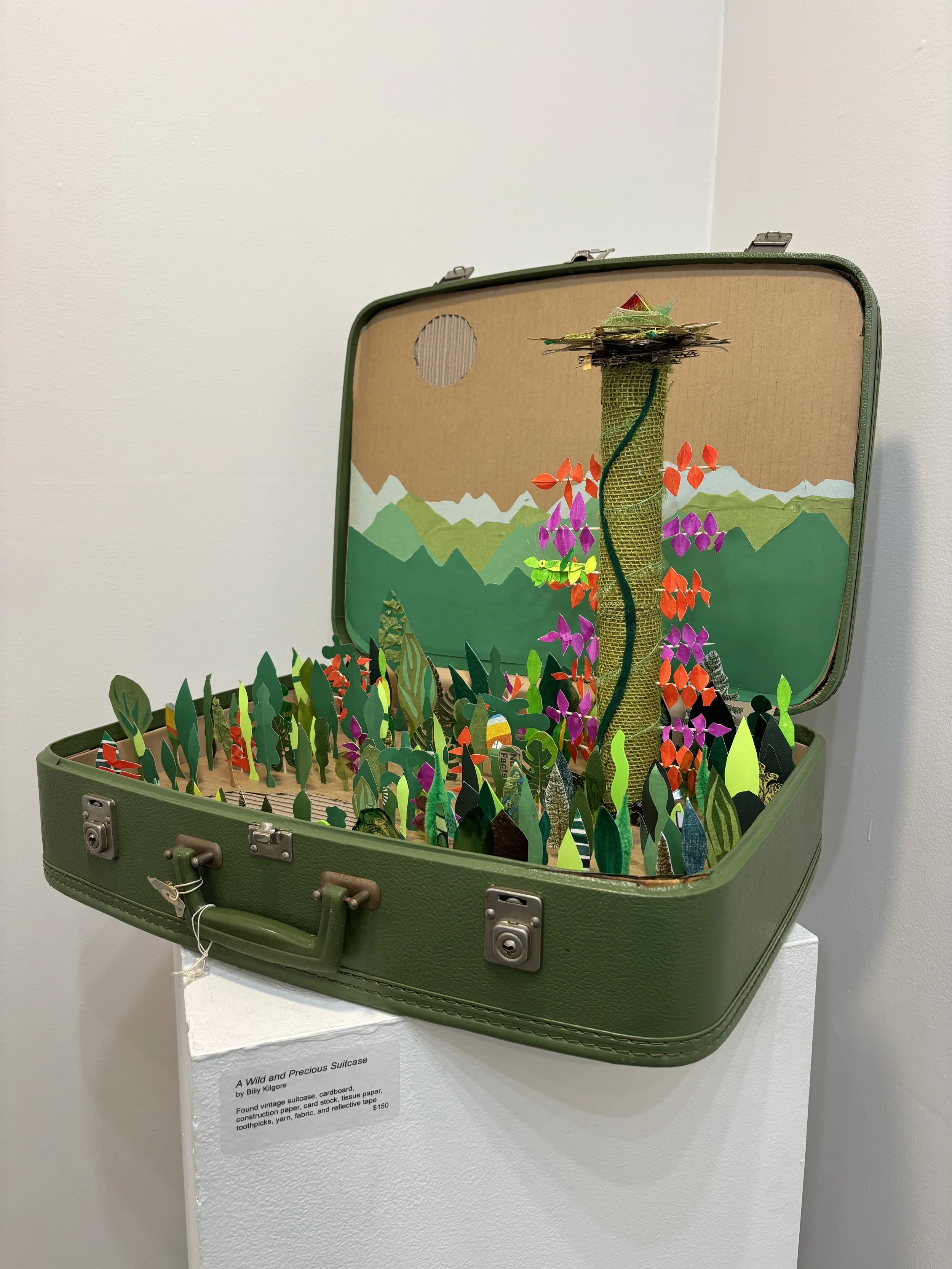 A Wild and Precious Suitcase (Inspired by Mary Oliver's poem "The Summer Day"