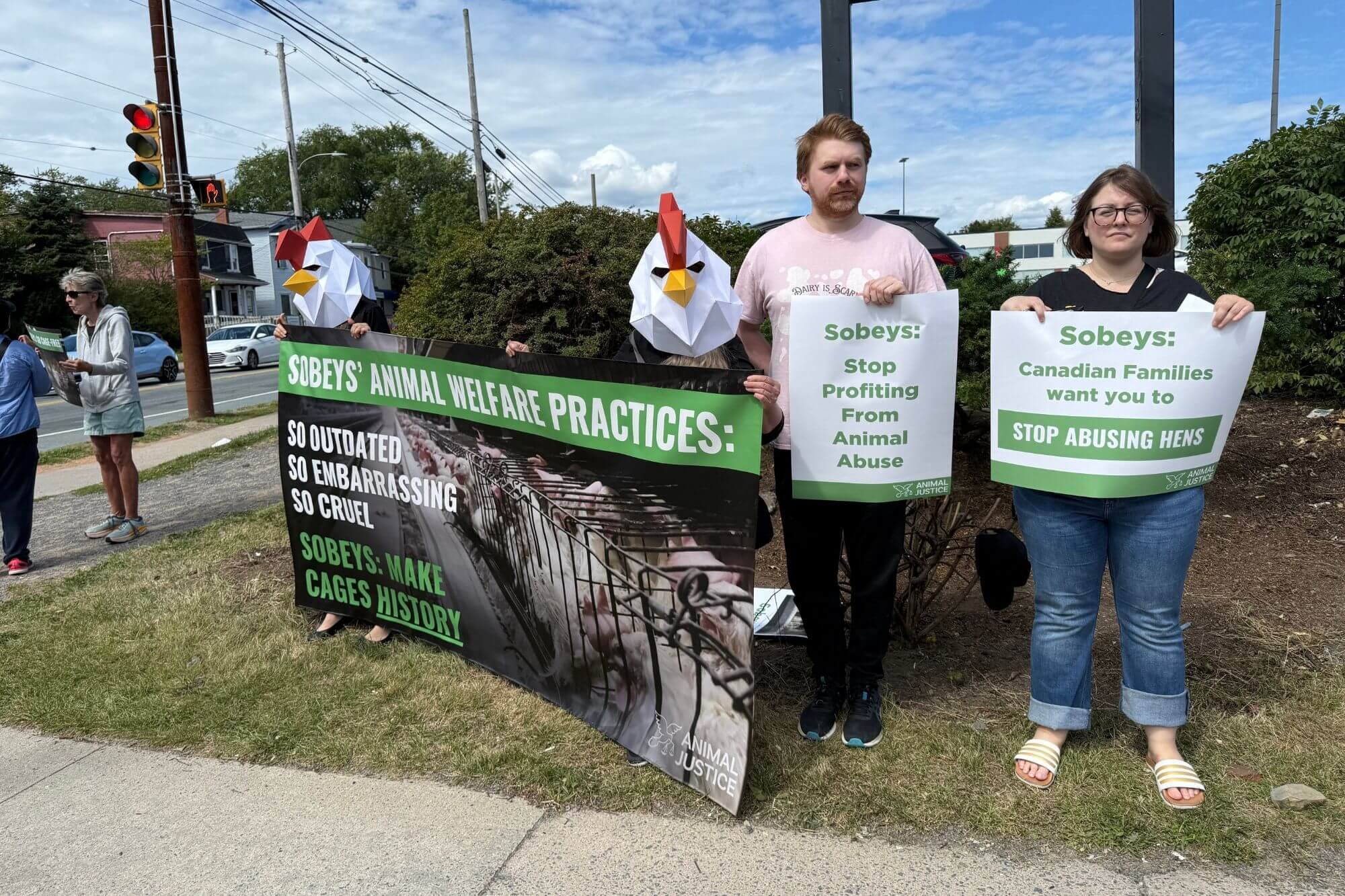 People protesting animal welfare practices, some wearing chicken masks, holding signs with messages advocating for animal rights and against animal abuse, standing near a street.