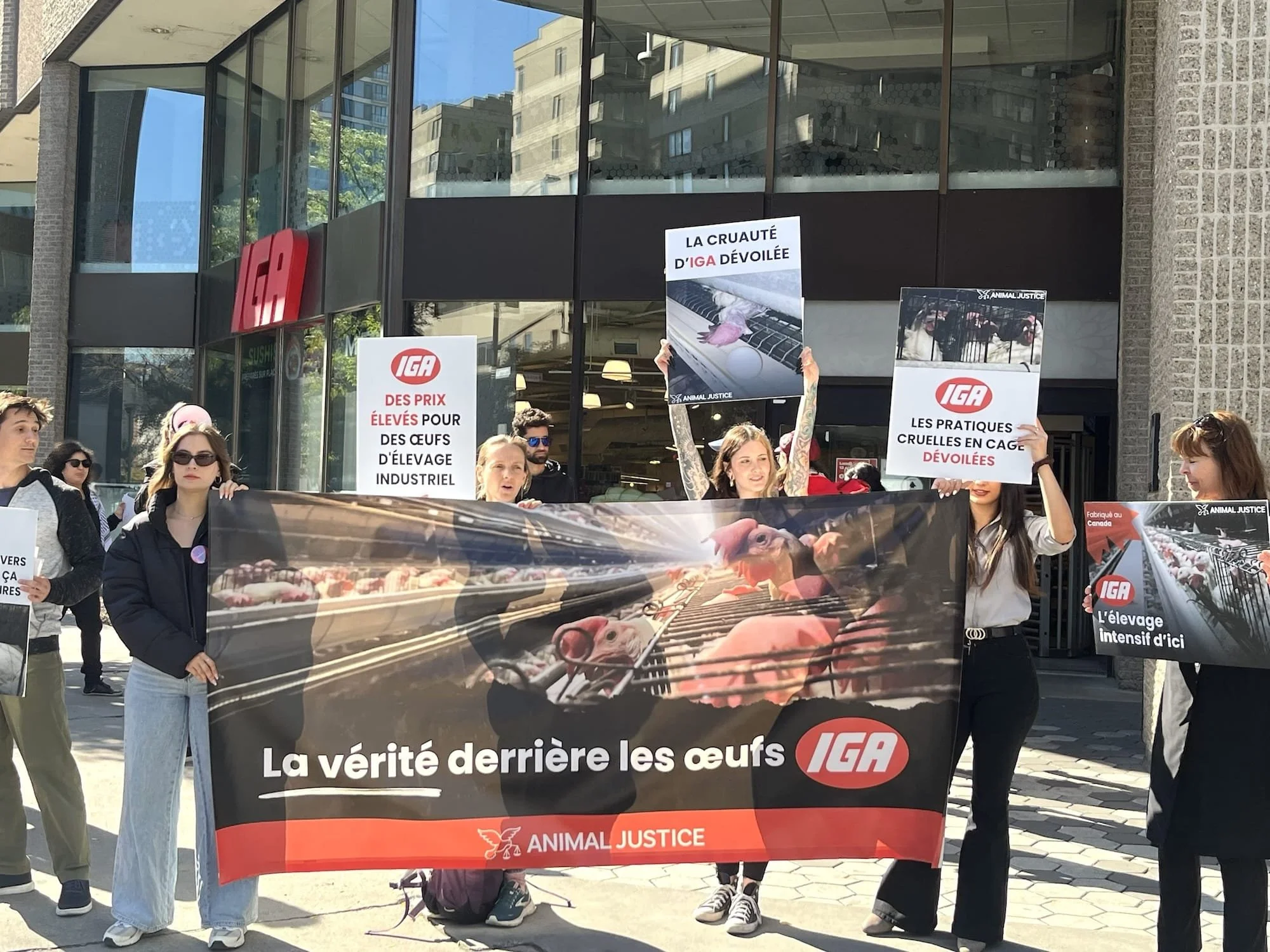 Protesters holding signs and a large banner advocating for animal justice and against factory farming, outside a building with a glass storefront.