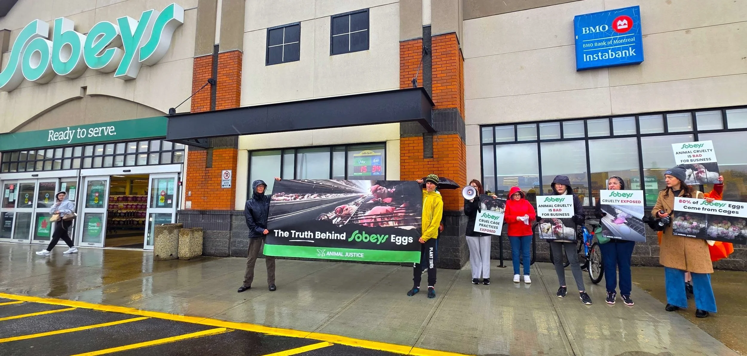 A group of protesters standing outside a Sobeys grocery store holding signs and banners advocating for animal rights and exposing cruelty practices related to Eggs. Some signs read "Animal cruelty is bad for business," "Cruel cage practices exposed,"