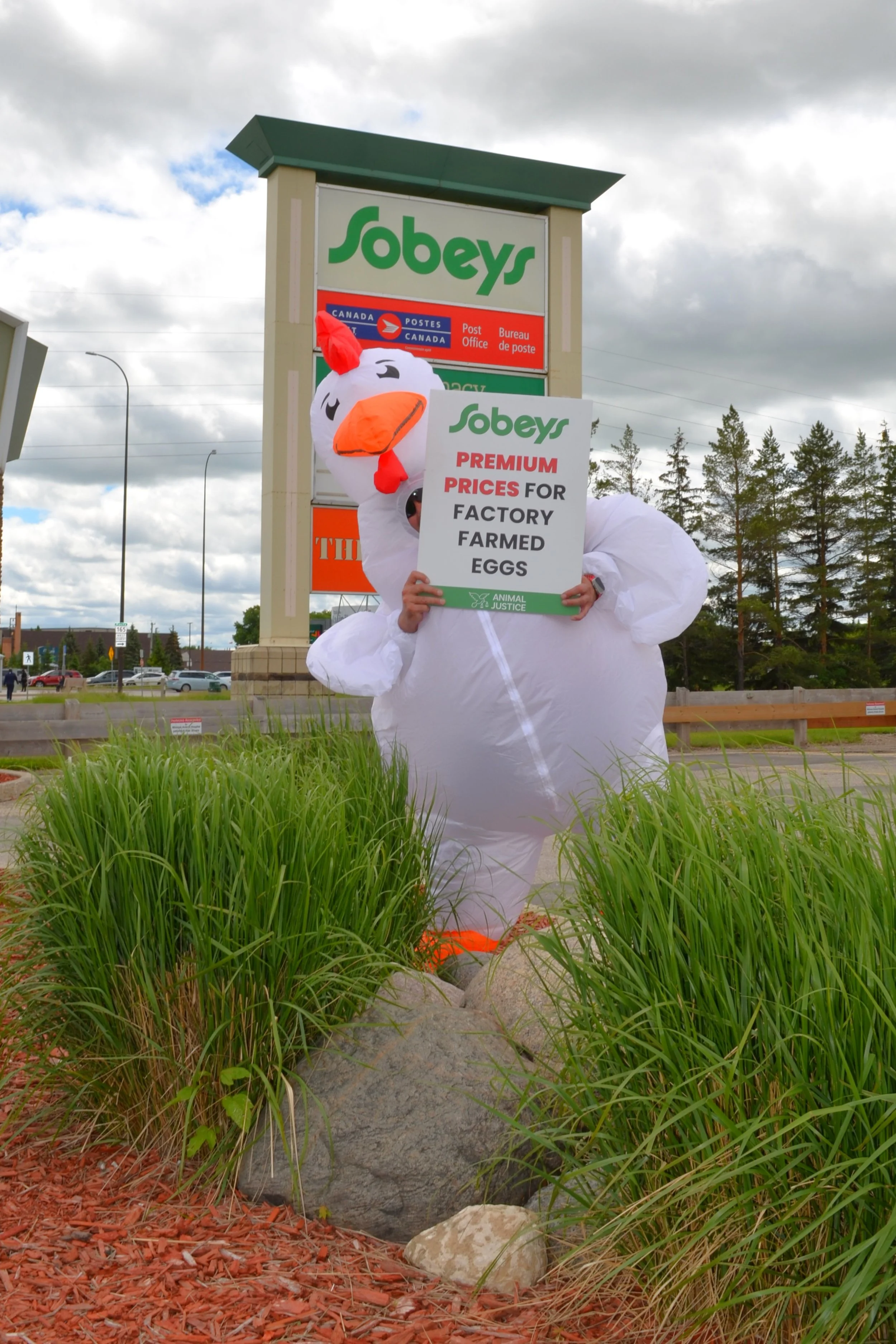 SobeysRallyWPG14.JPG
