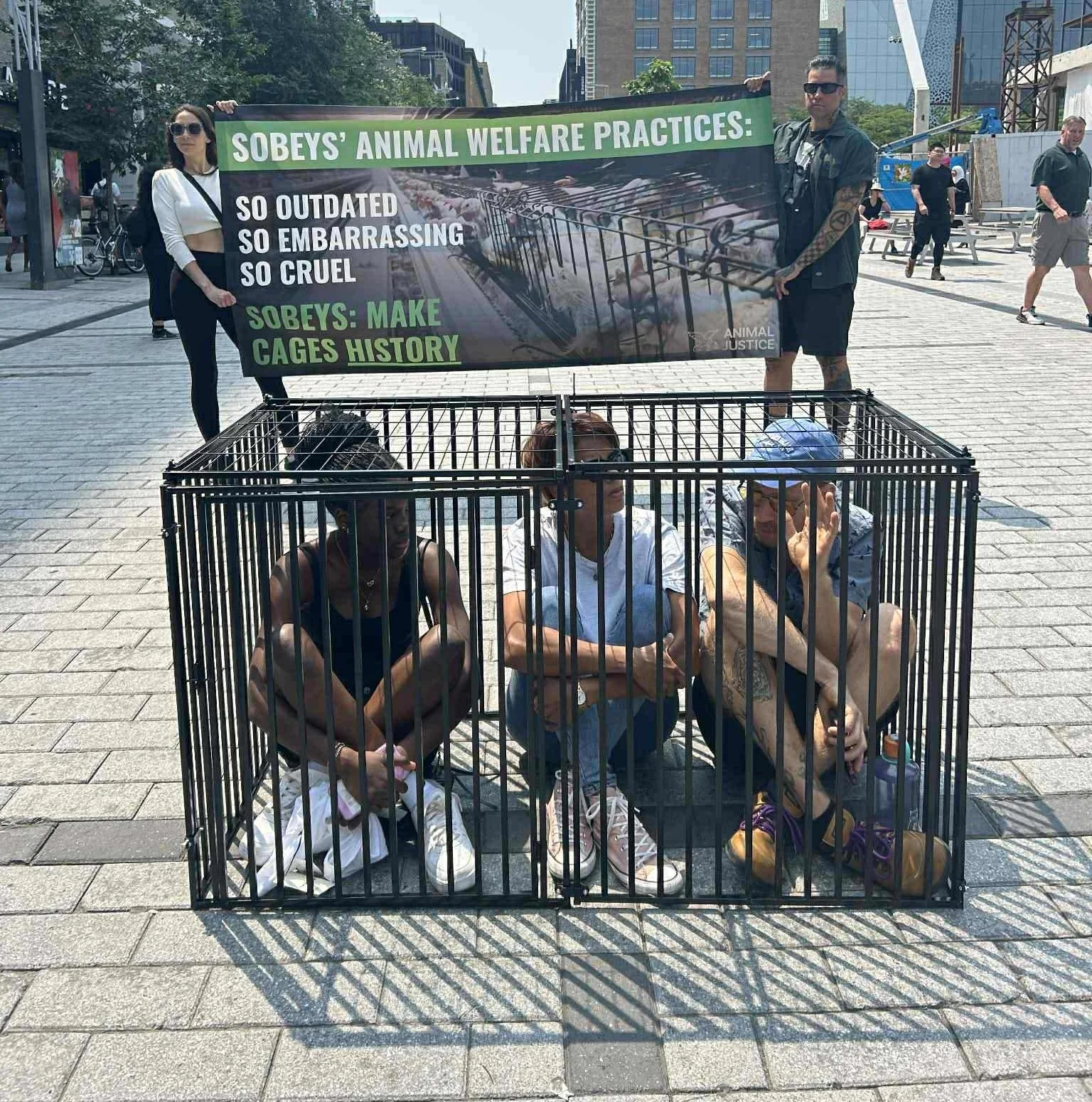 Three individuals are sitting inside a cage on a city street during a protest, with two people holding a large banner behind them that reads 'Sobeys' Animal Welfare Practices: So outdated, so embarrassing, so cruel. Sobeys: Make cages history.'