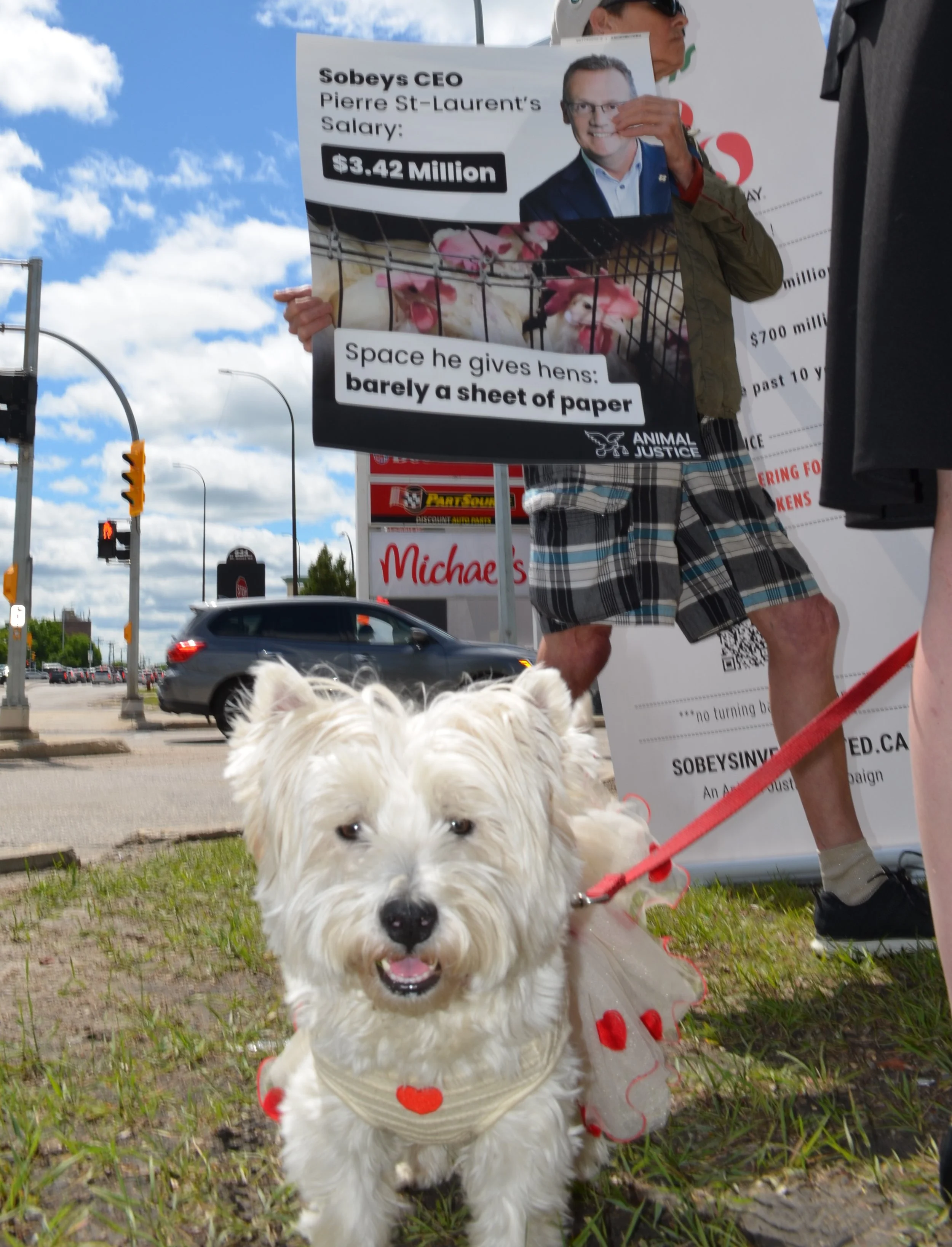 SobeysRallyWPG2.JPG