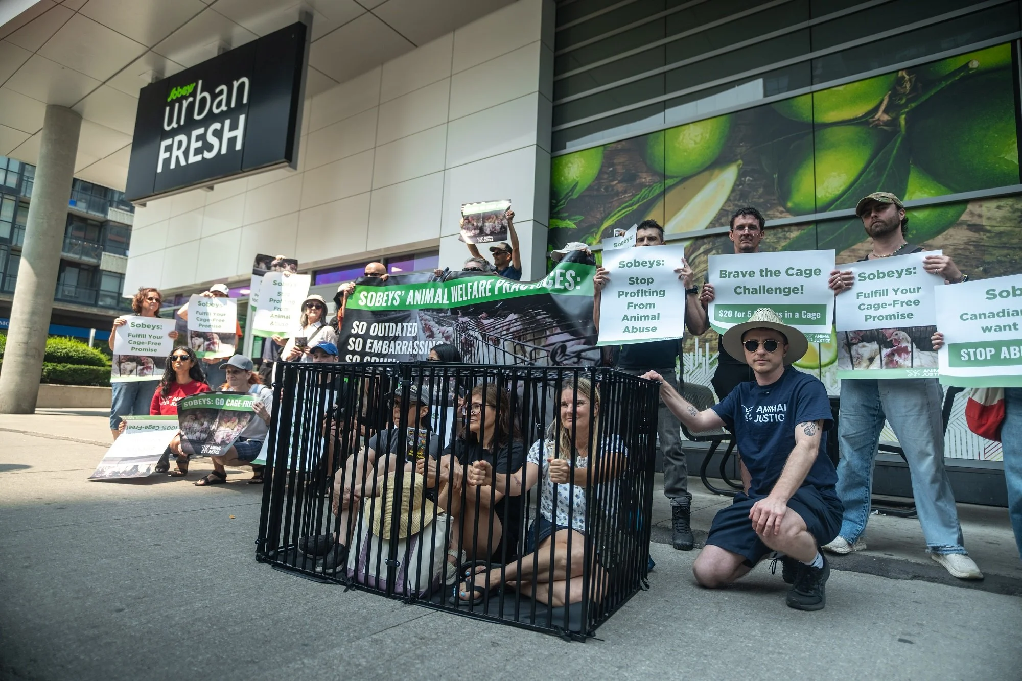 Protestors outside Sobeys store advocating for animal welfare, some in cages representing animals, holding signs against animal abuse and supporting cage-free promises.