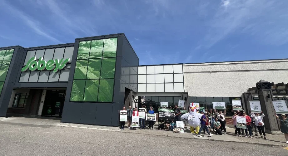 People protesting outside a shopping center with large signs and a mascot.