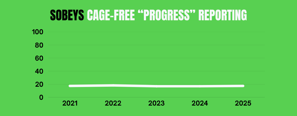 Line graph on a green background showing stable progress from 2021 to 2025, with labels '2021' to '2025' on the x-axis and a scale from 0 to 100 on the y-axis, titled 'SOBAYS CAGE-FREE 'PROGRESS' REPORTING'.
